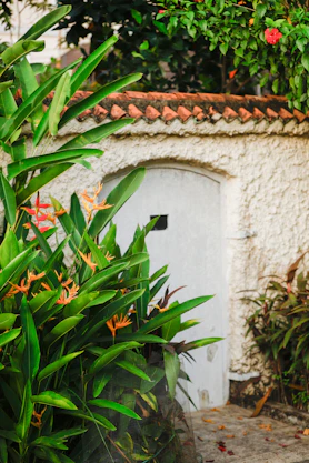 A small white building surrounded by trees and plants