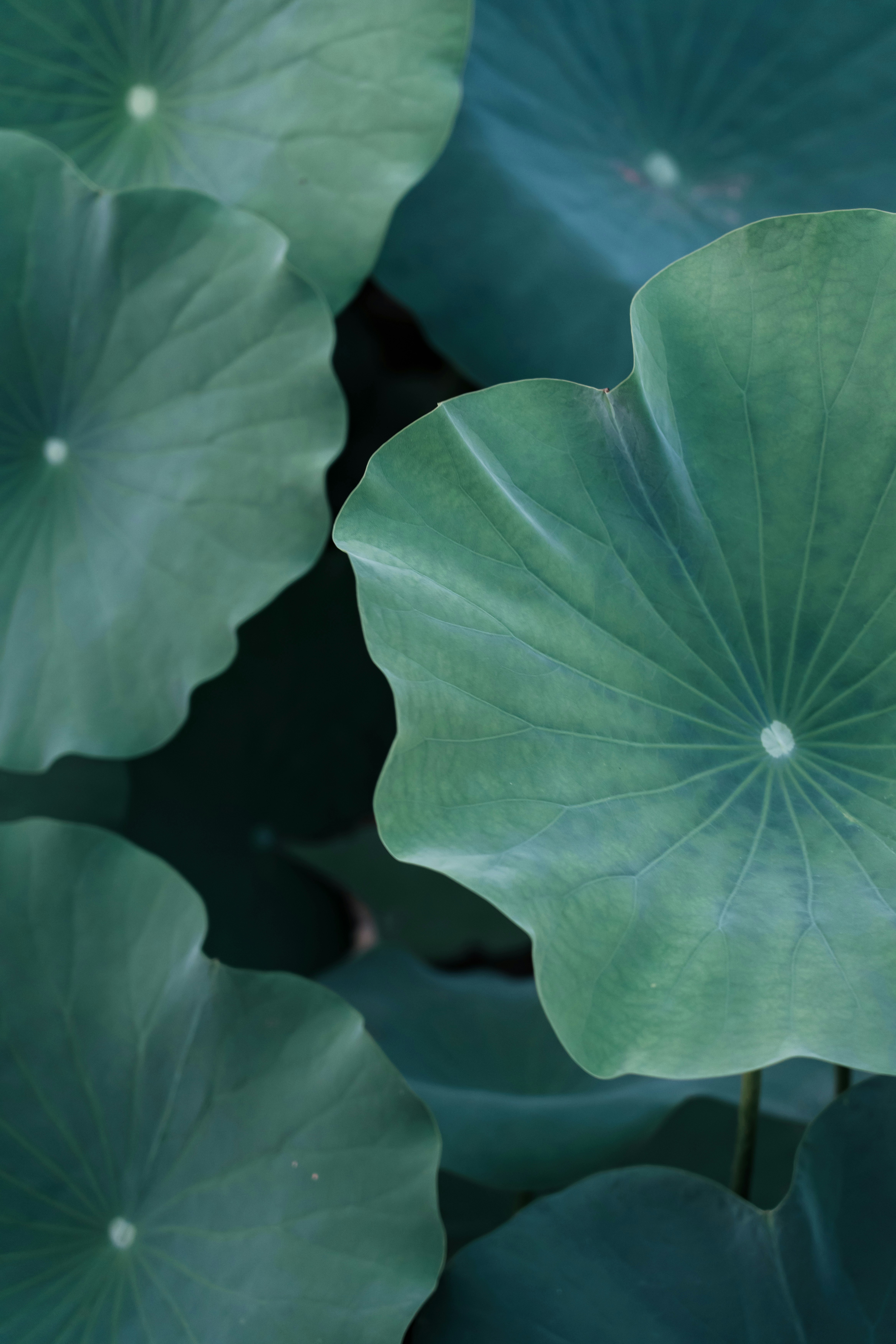 Photo by lizheng_design