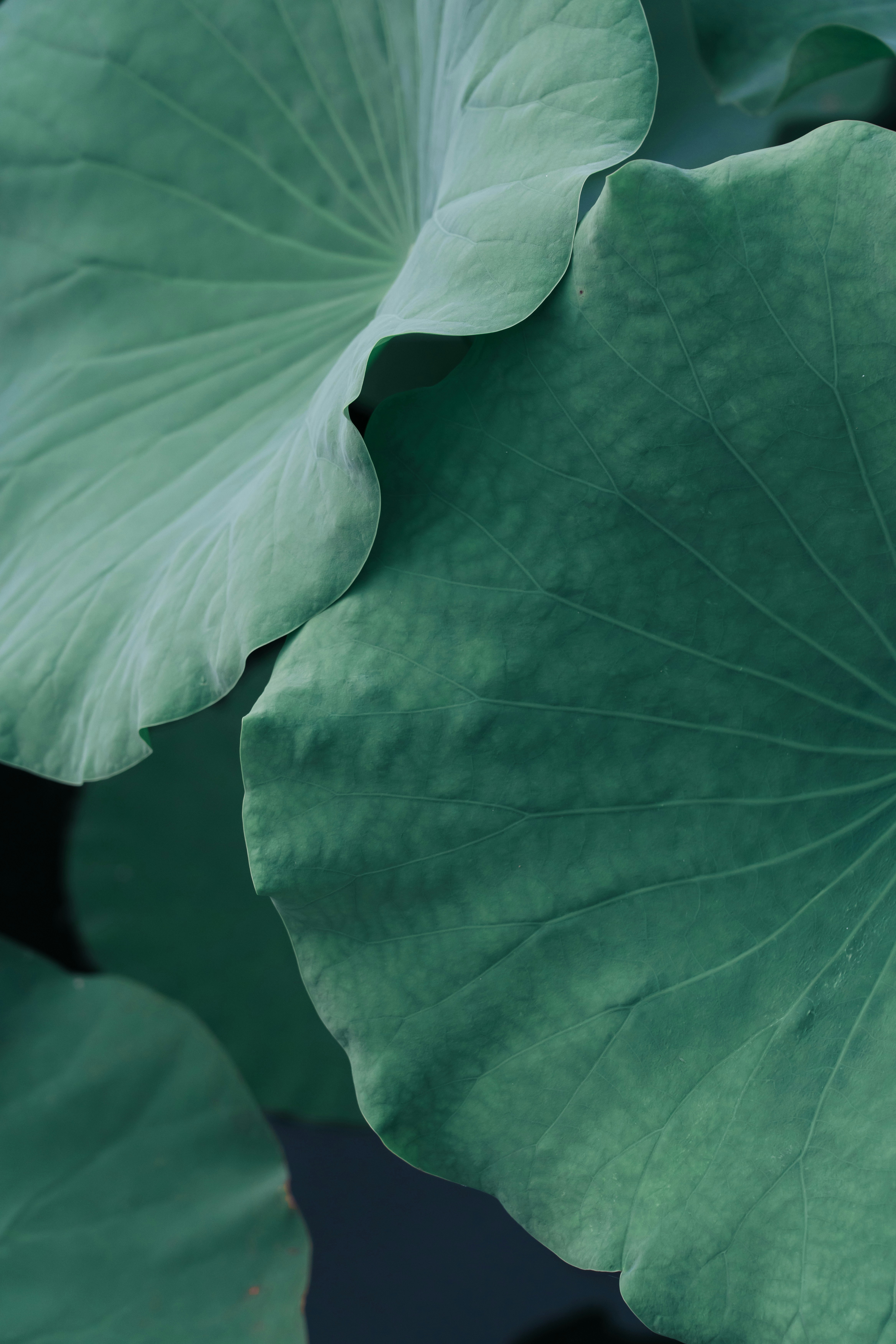 Photo by lizheng_design