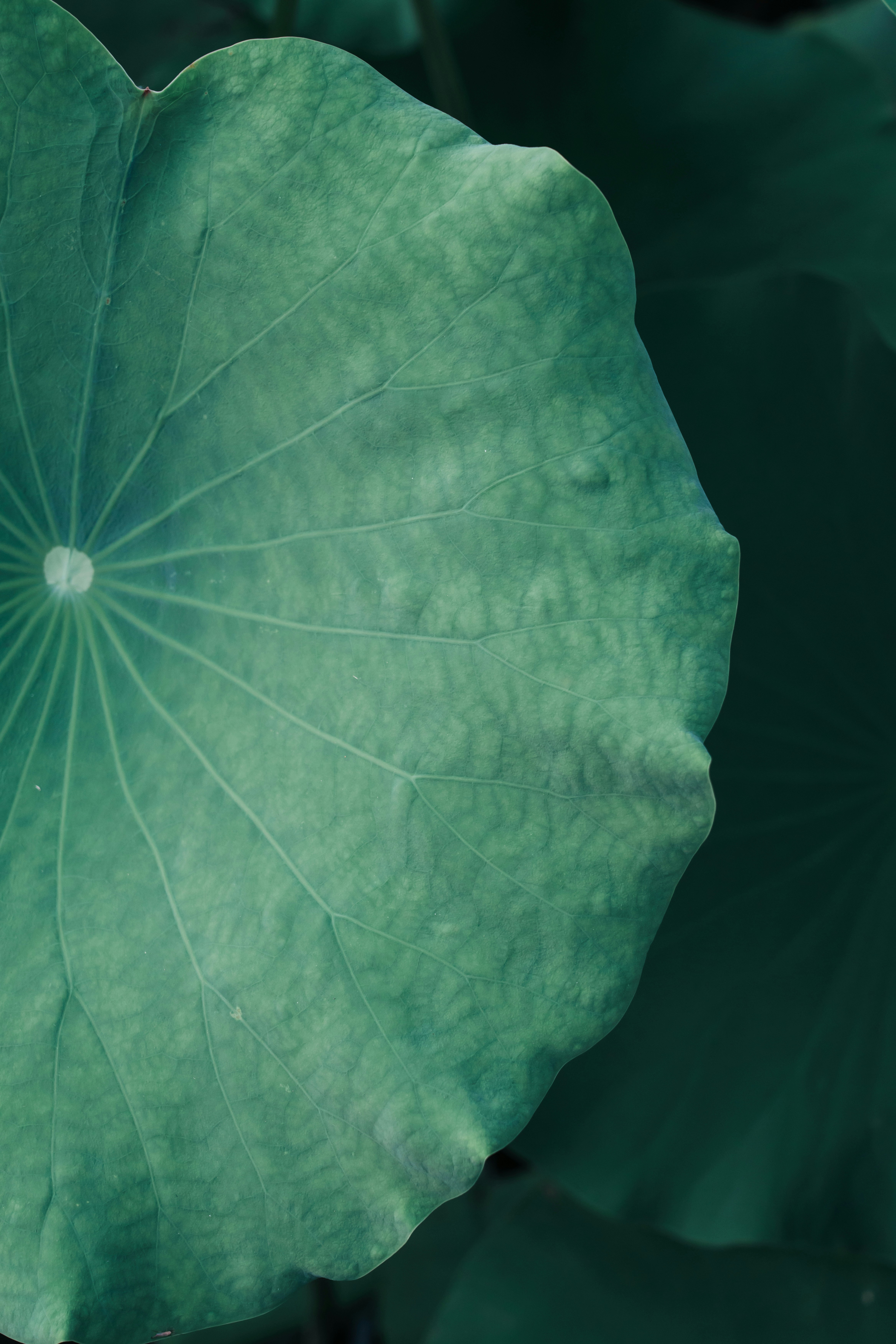 Photo by lizheng_design