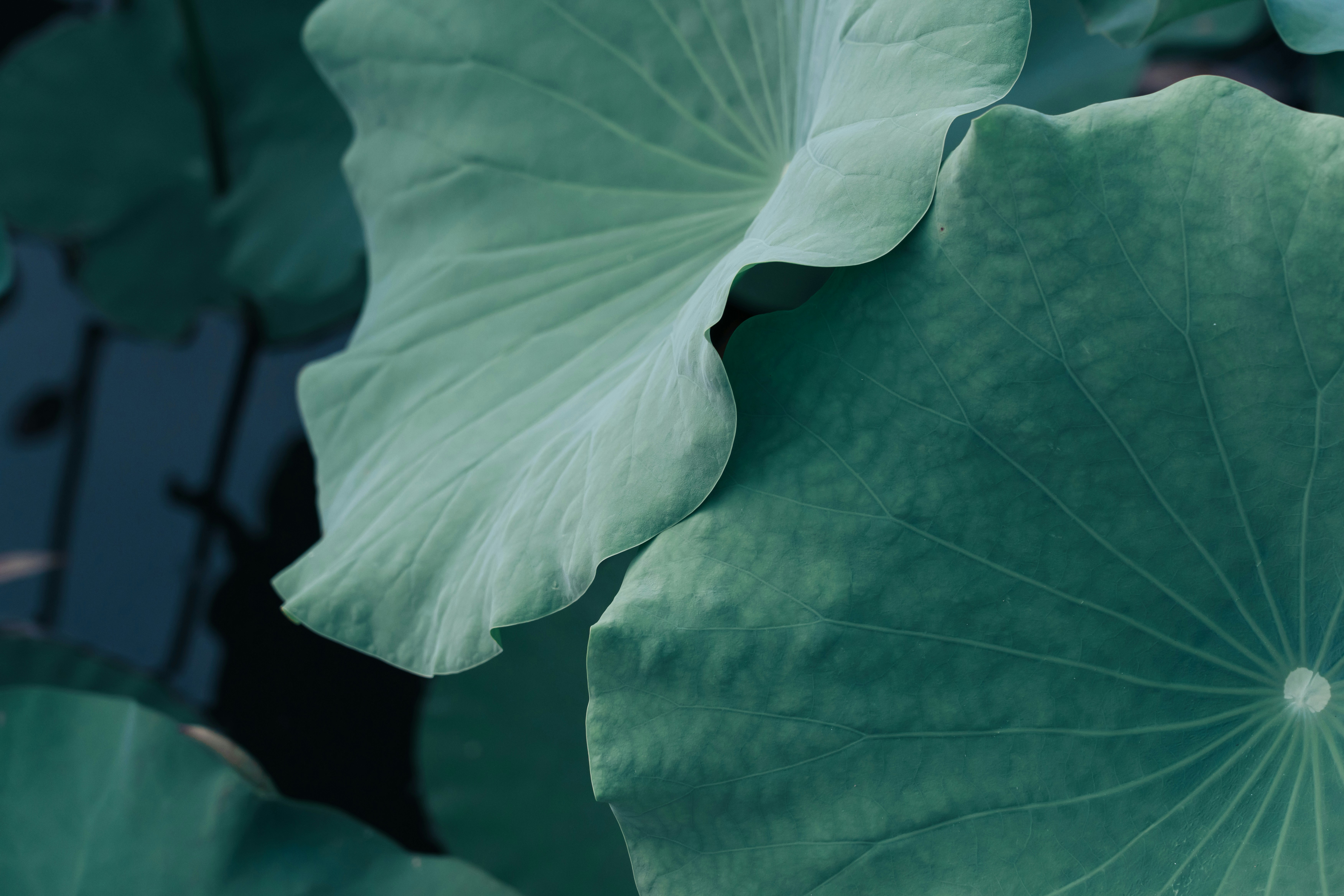 Photo by lizheng_design