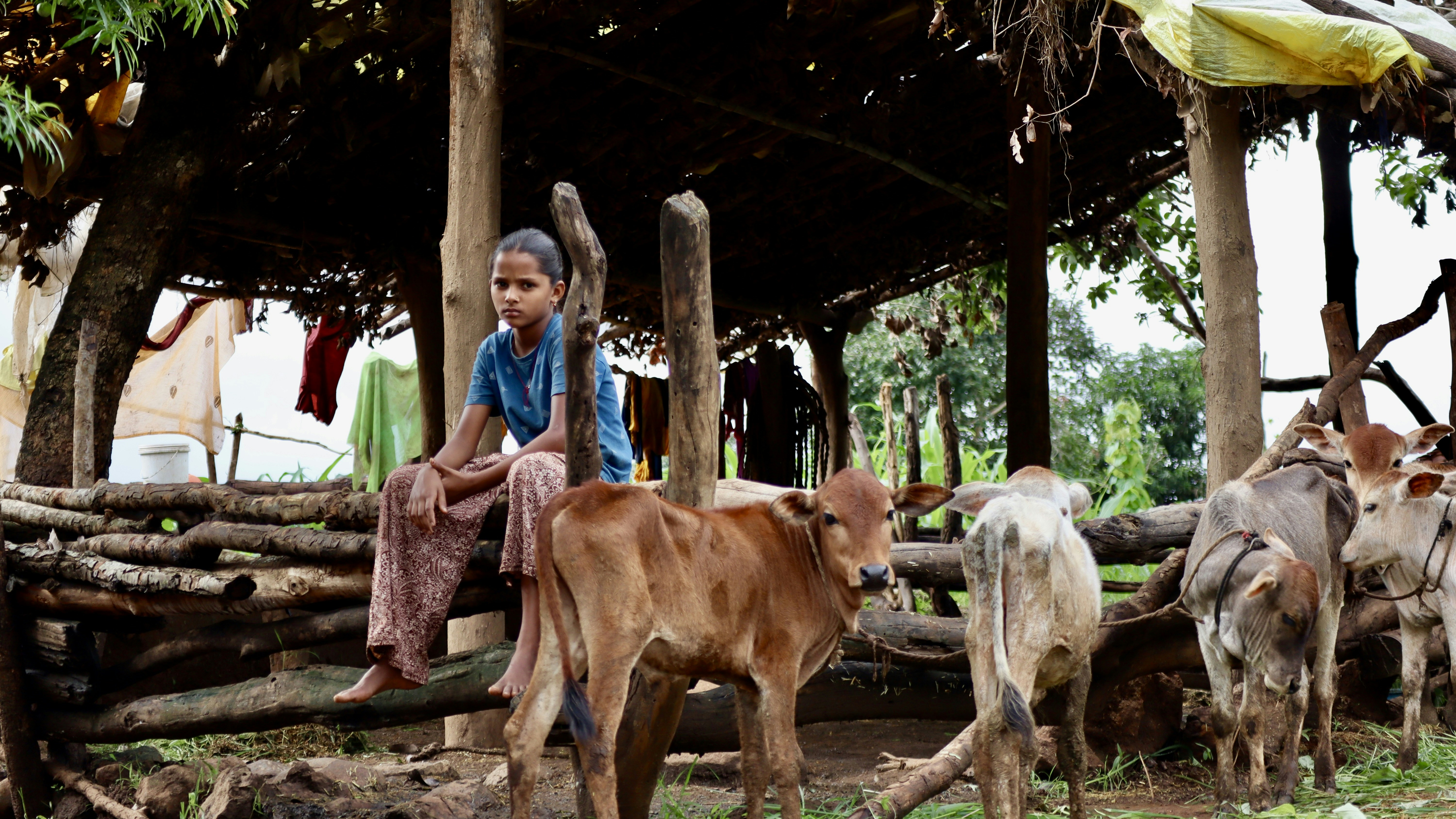 Photo by vineet_pathak