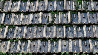 A close up of a tile roof with grass growing on it