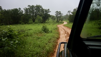A car driving down a dirt road next to a lush green field