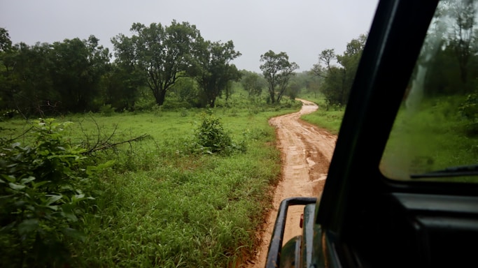 A car driving down a dirt road next to a lush green field