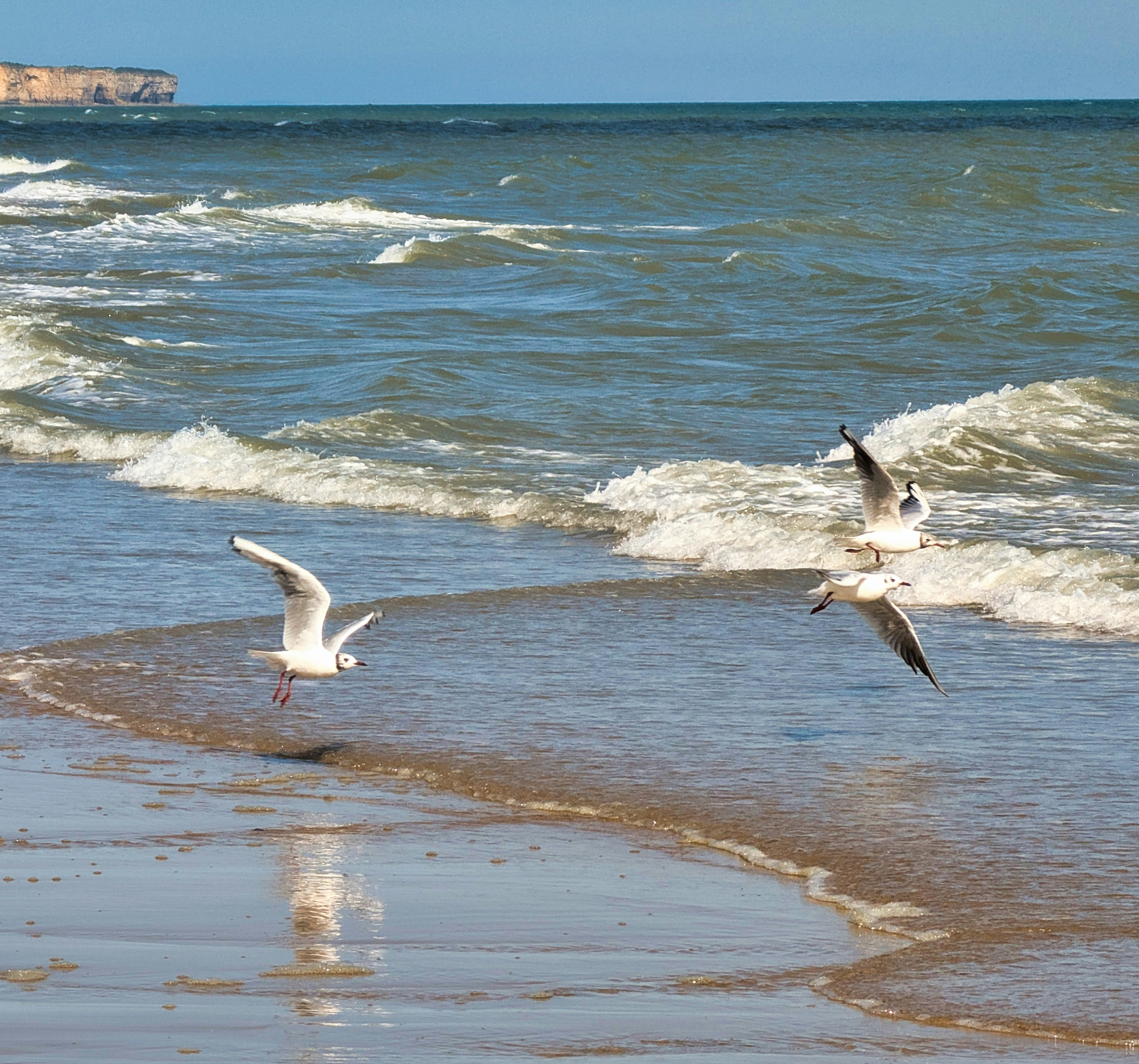 Photo by alpinstephane