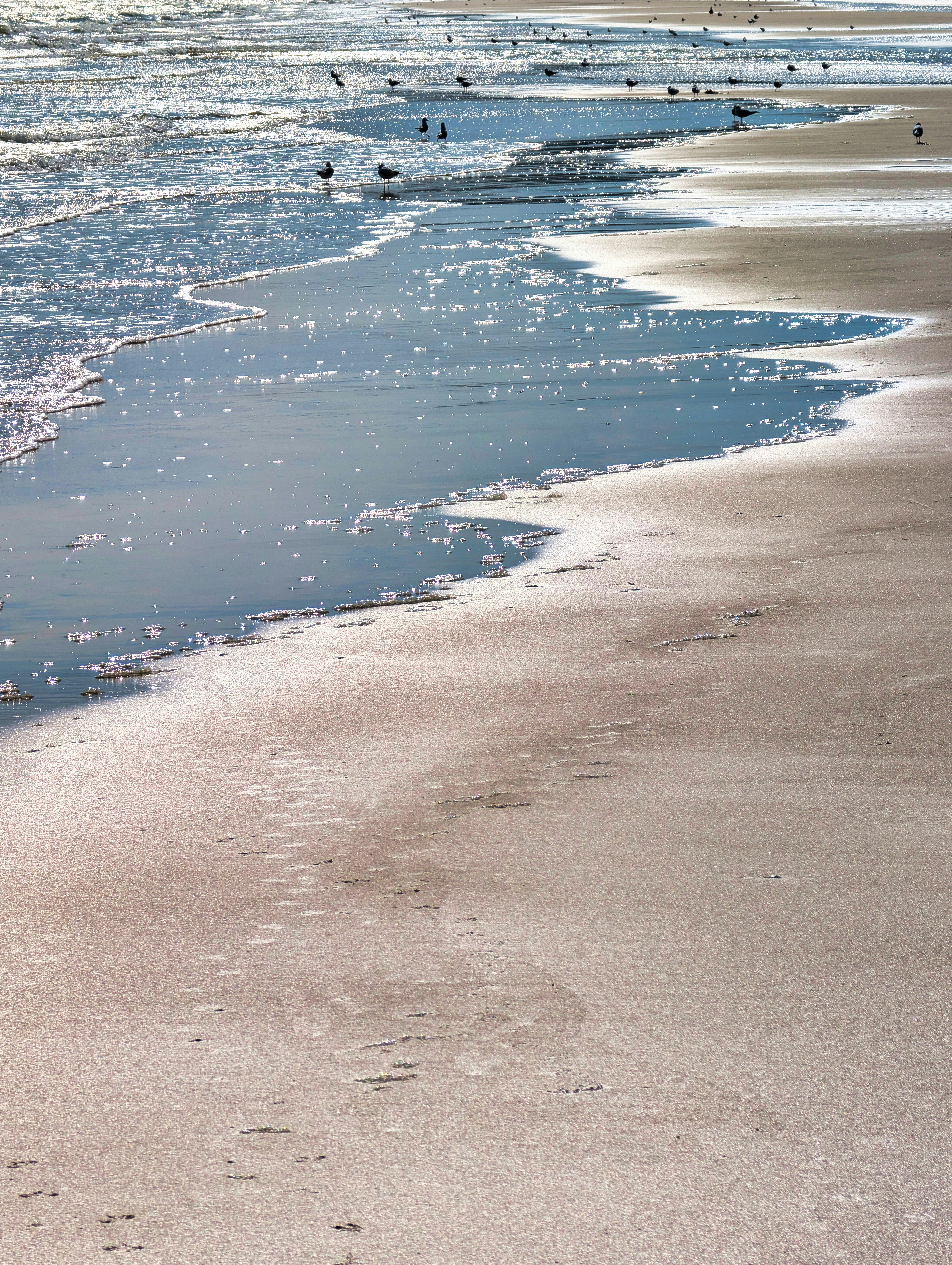 Photo by alpinstephane