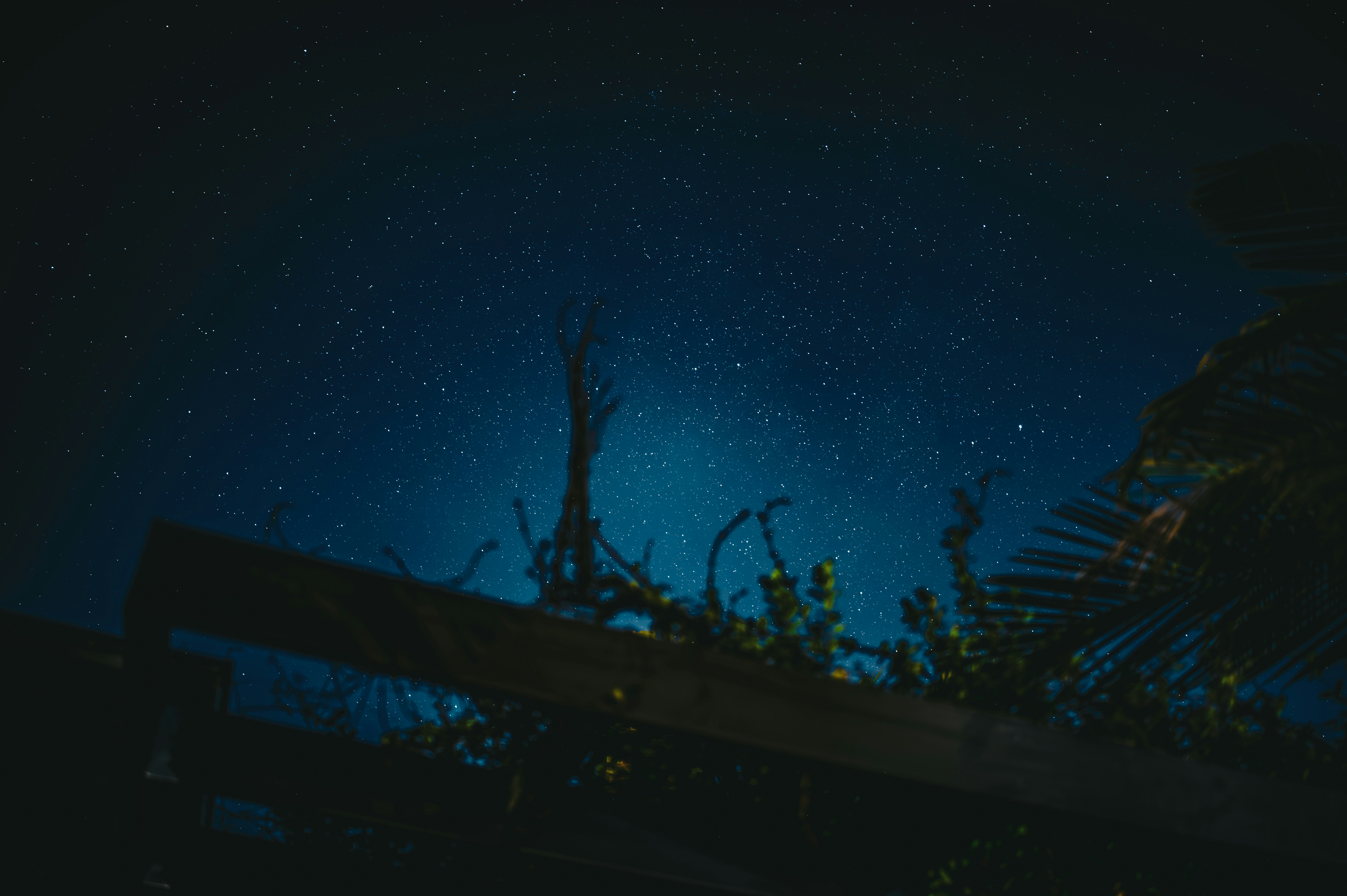 A bench sitting under a night sky filled with stars