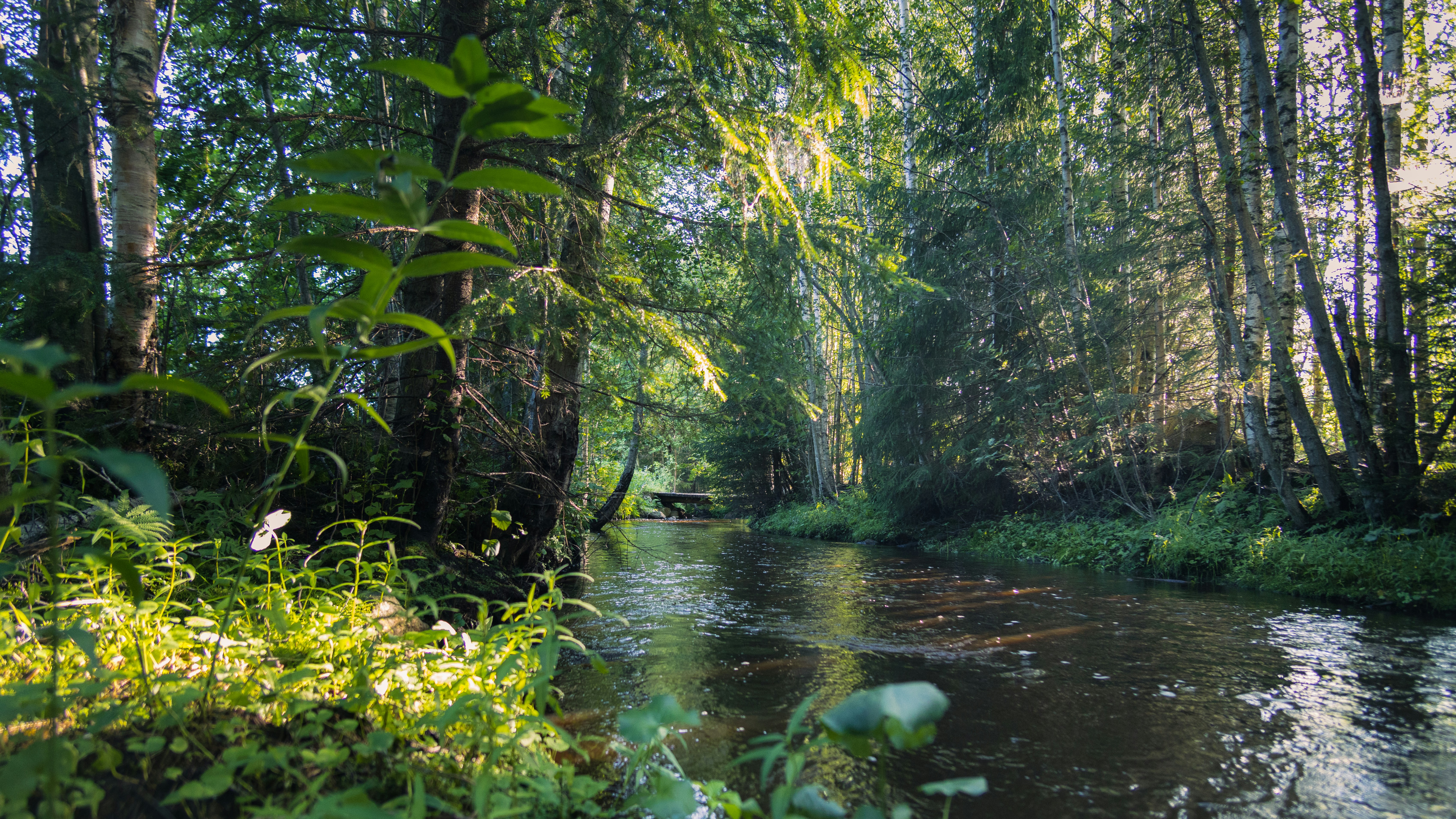 Photo by juho_aleksi_luomala