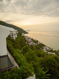 A view of the ocean from the top of a hill