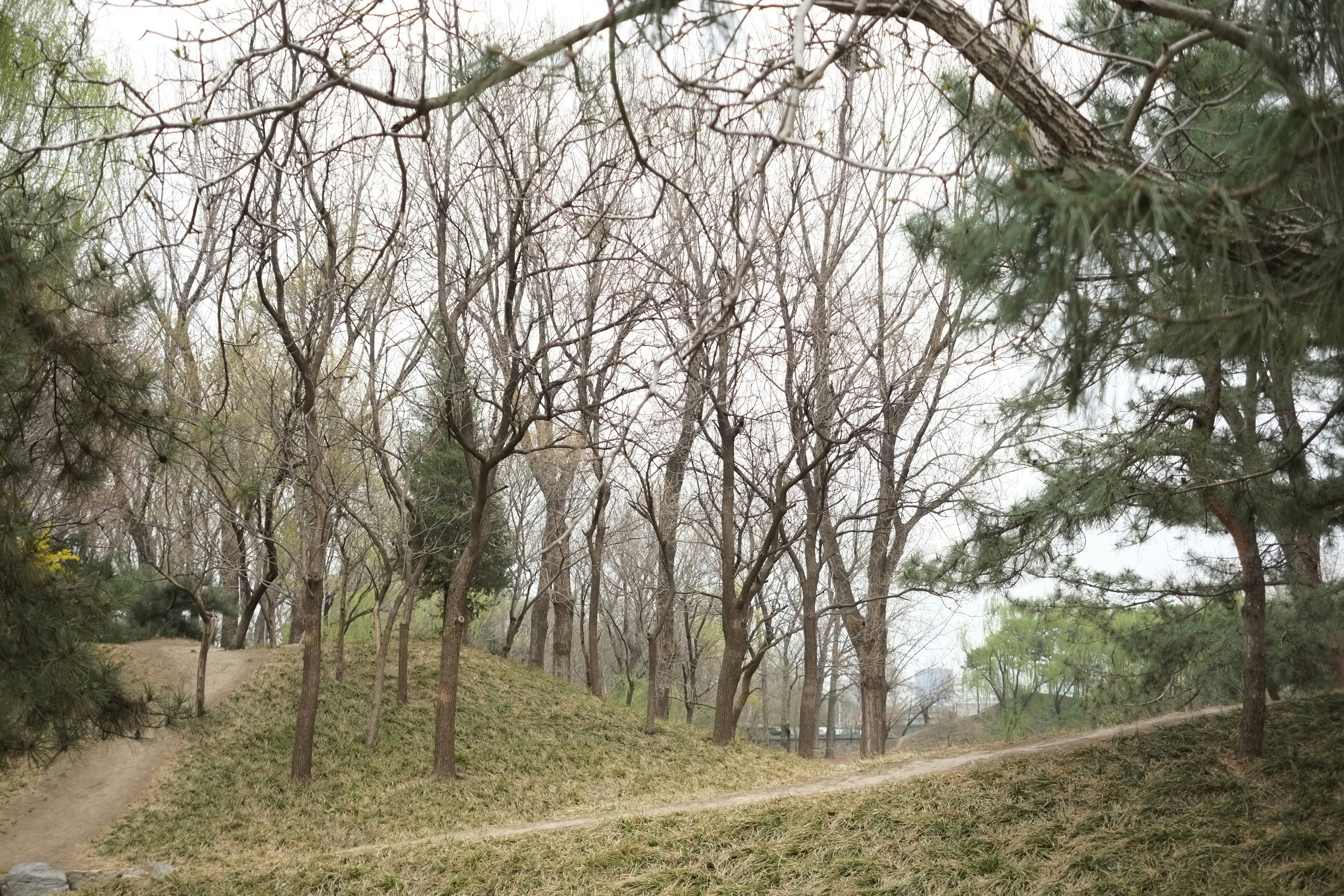 Johnson Park