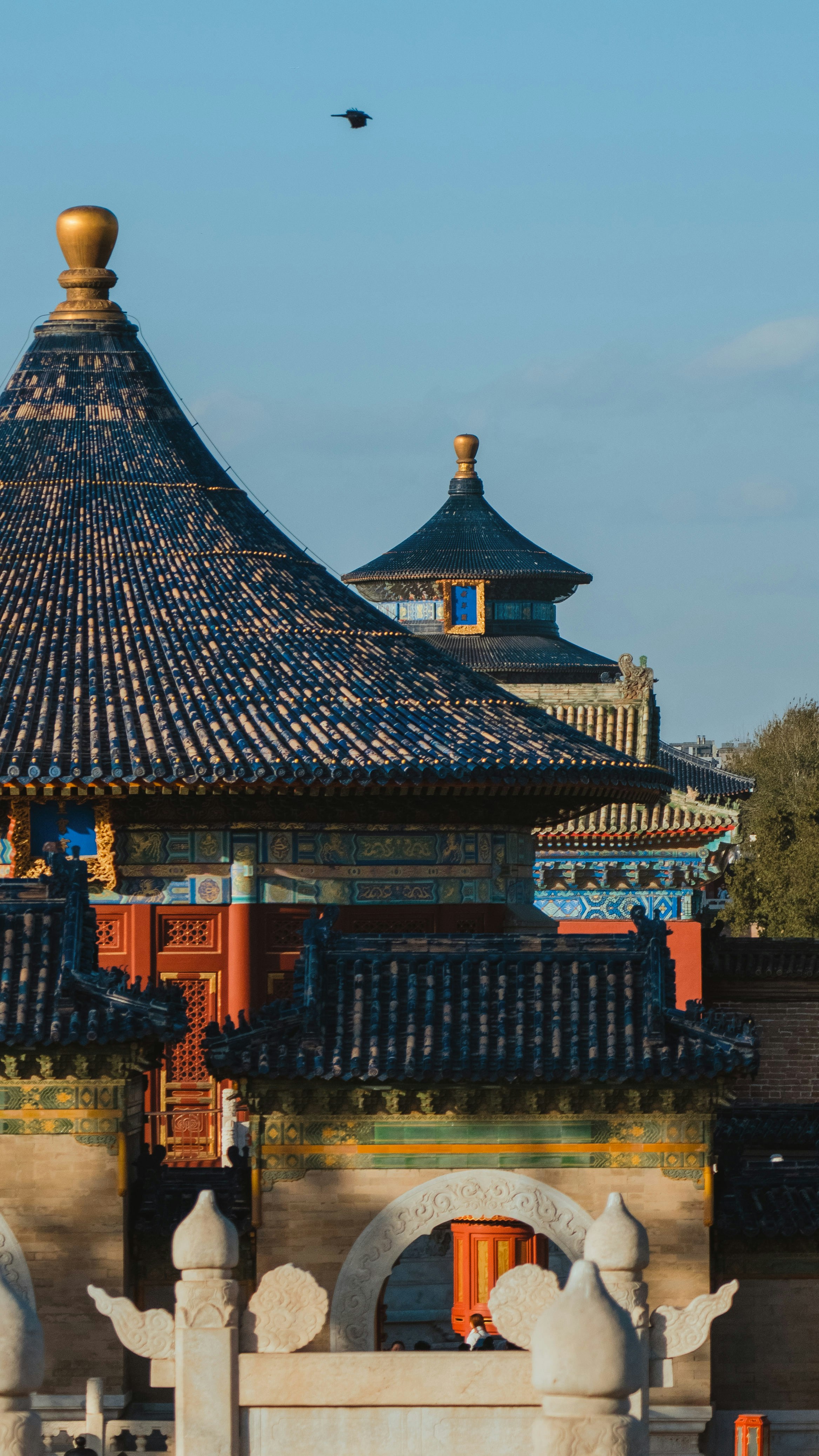 Photo by zhangkaiyv