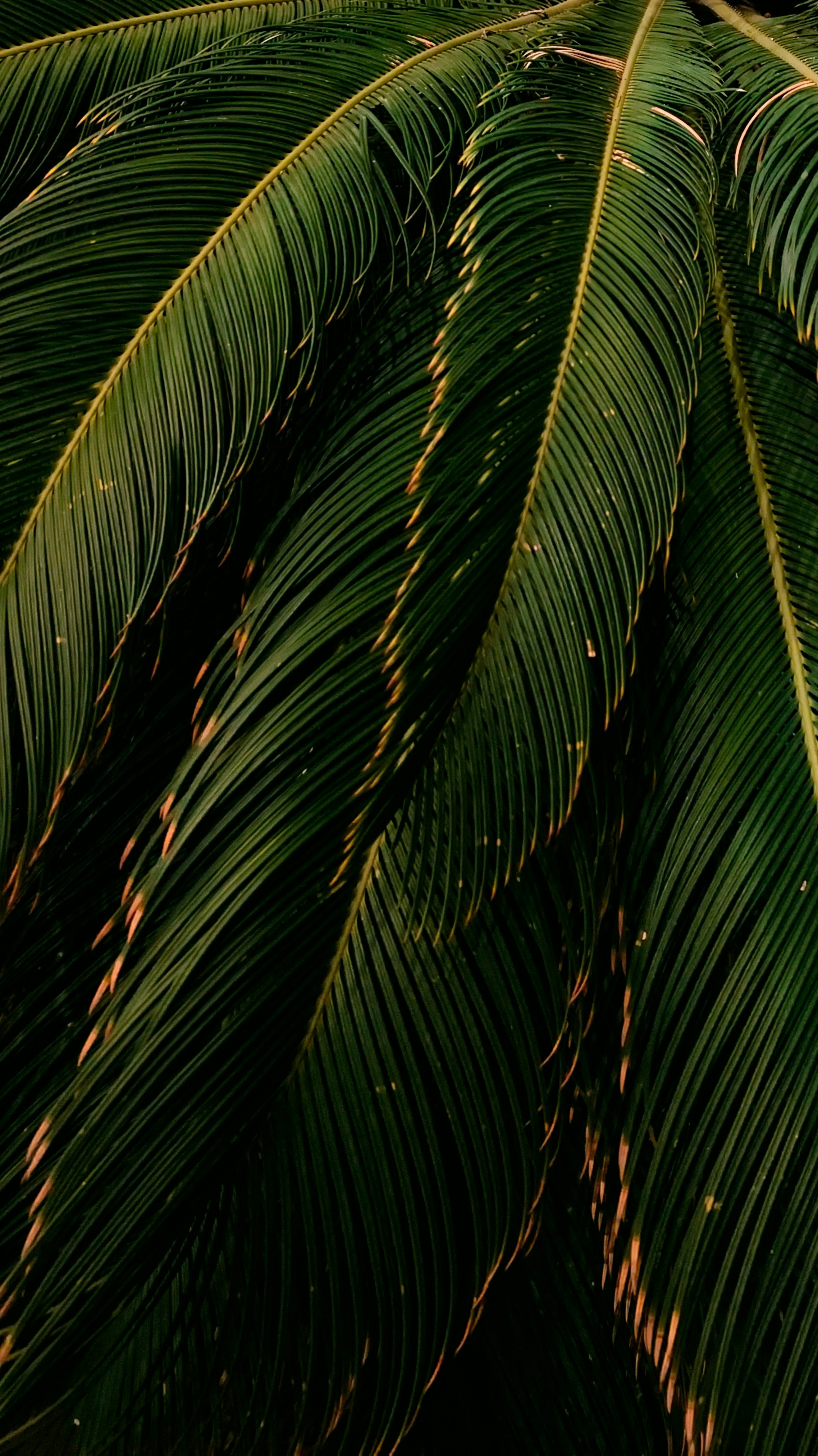 Photo by vinay_gujar