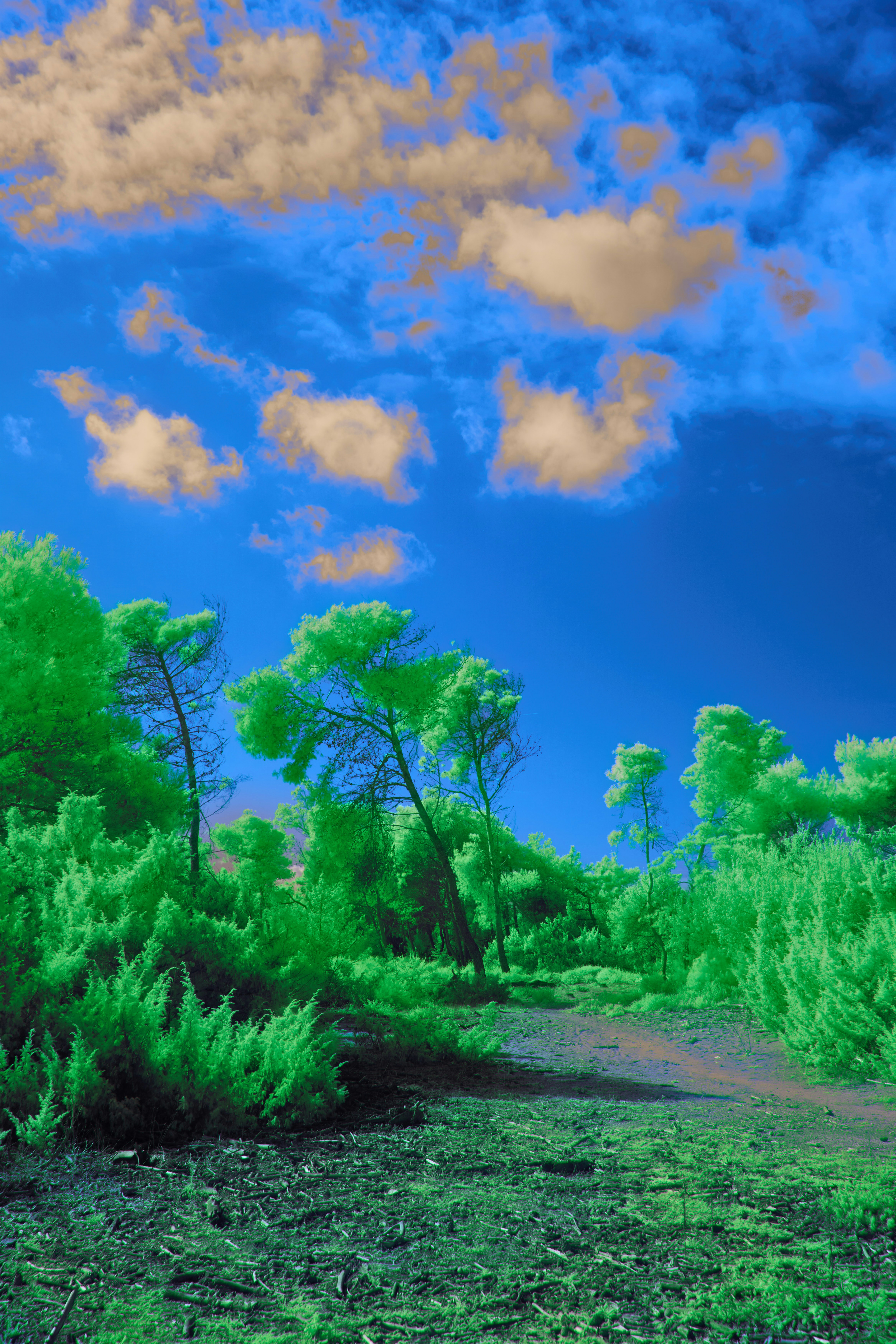 Photo by wolfgang_hasselmann