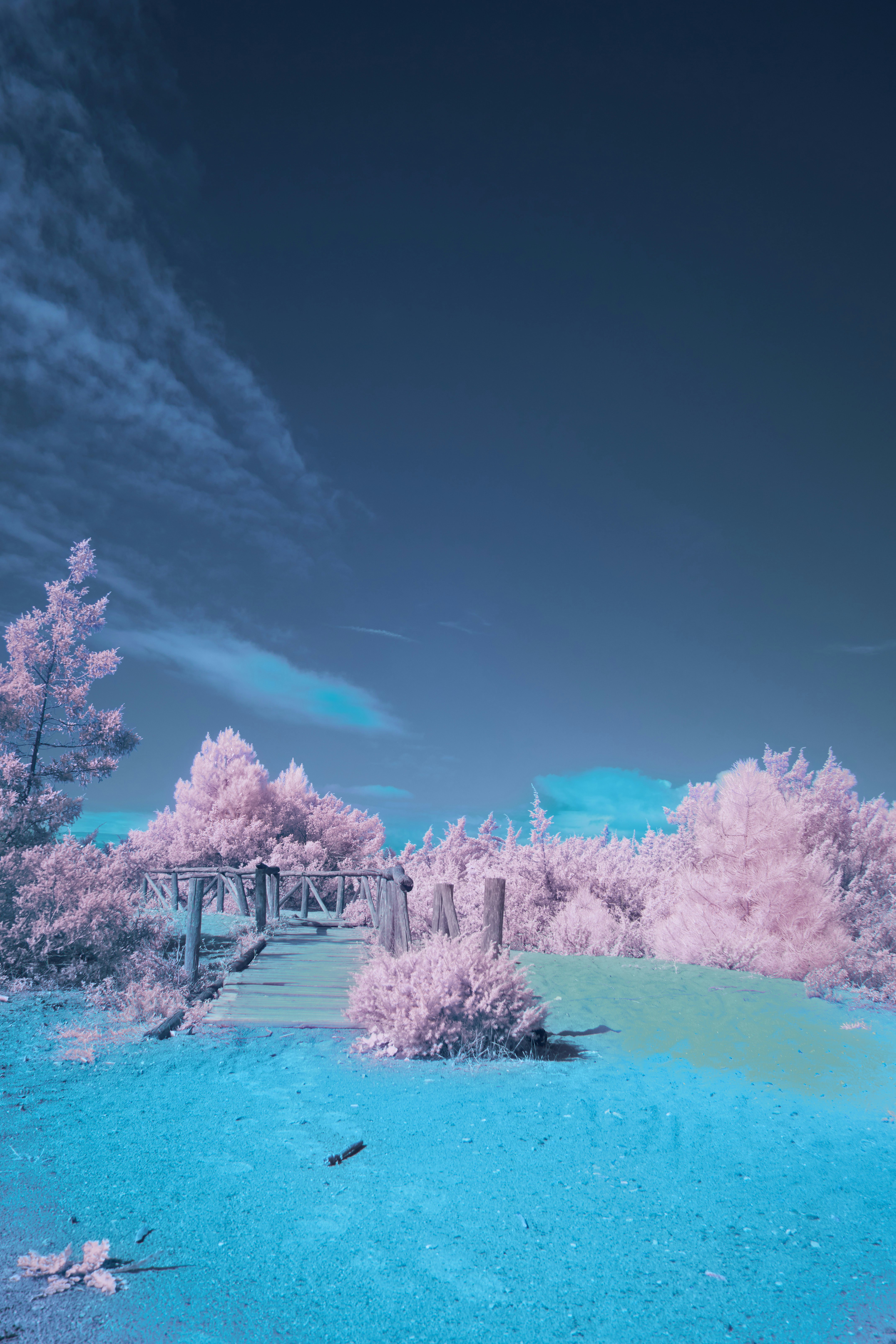 Photo by wolfgang_hasselmann