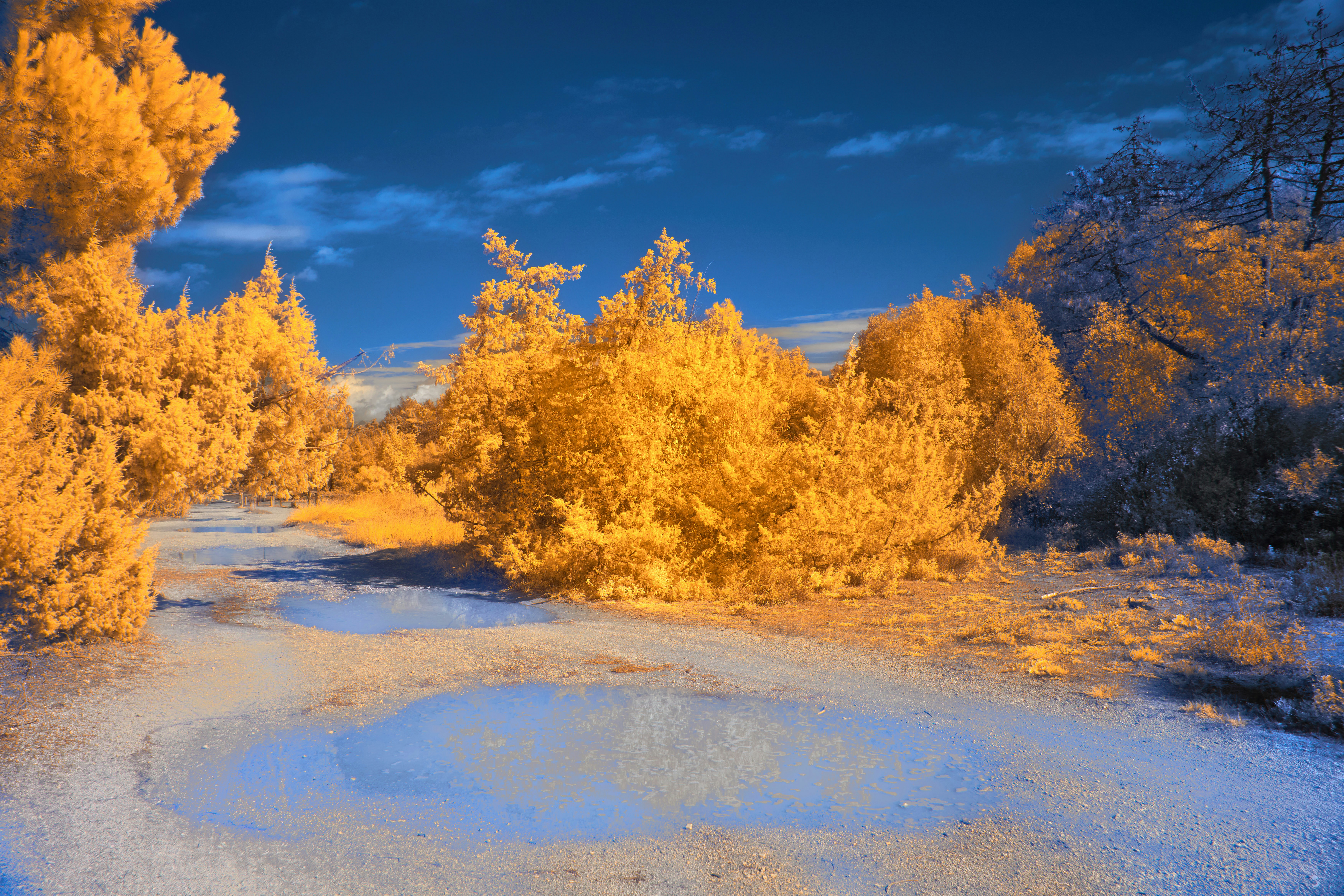 Photo by wolfgang_hasselmann