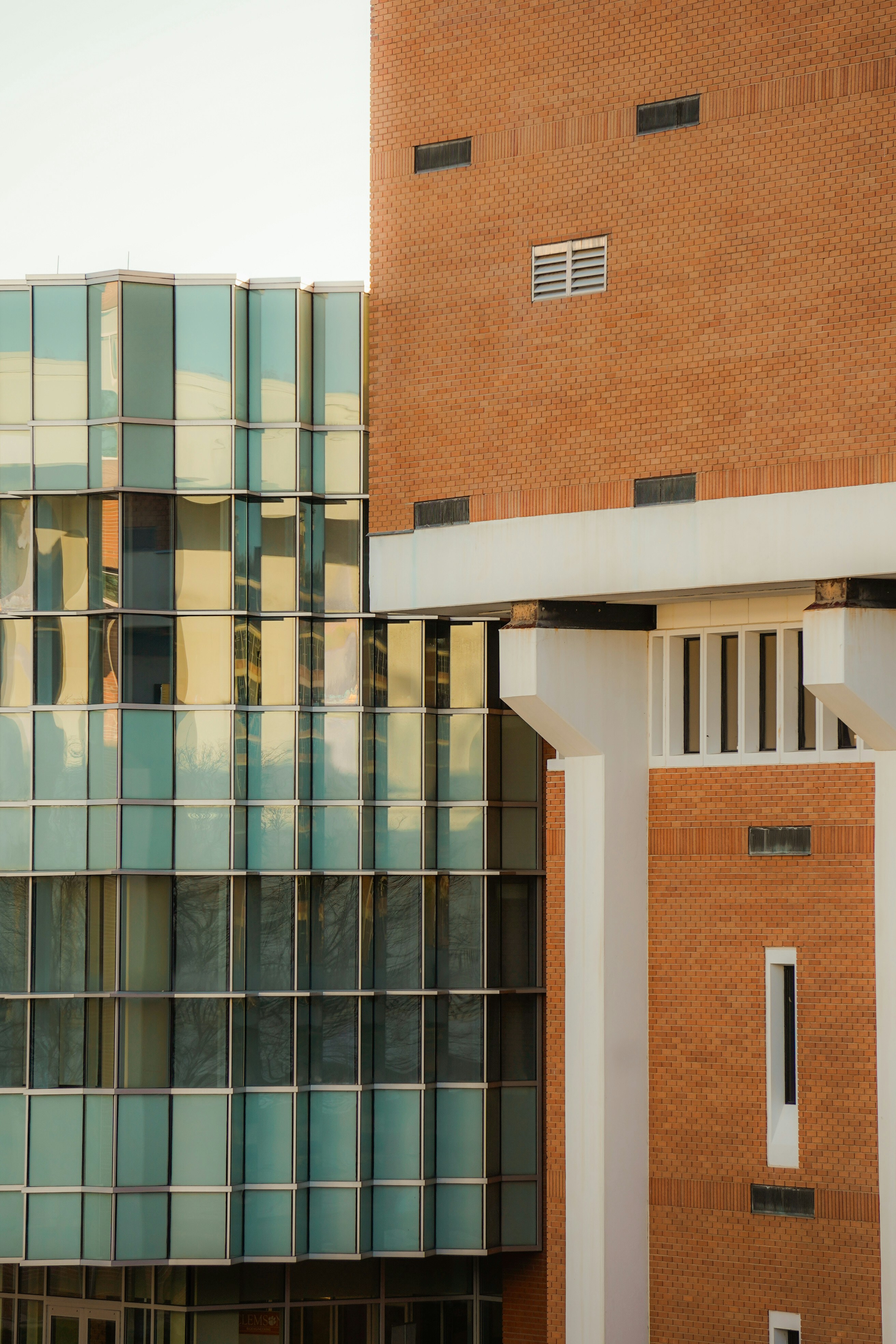 Photo by baileywarlickphotography