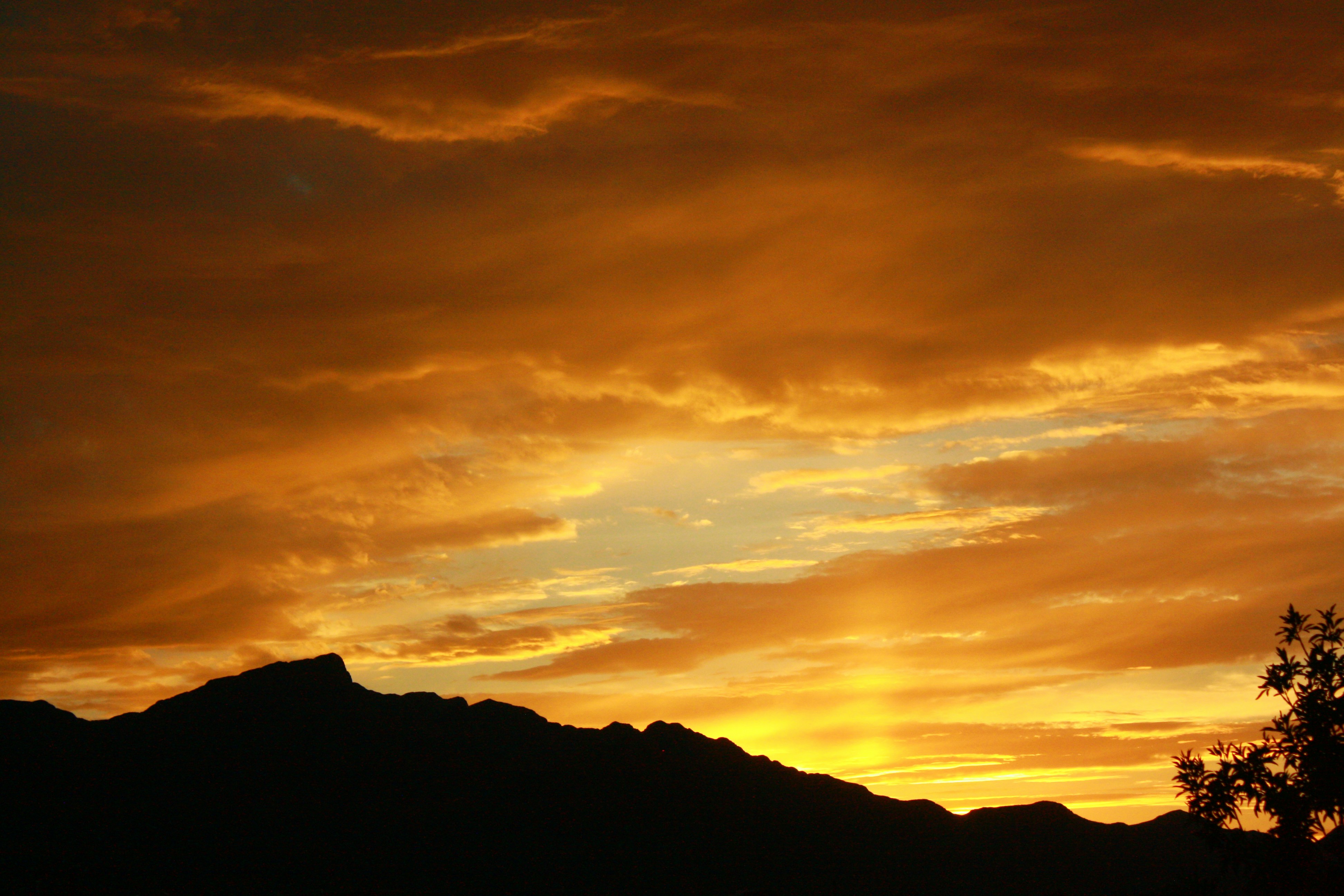 Photo by officialbryaan