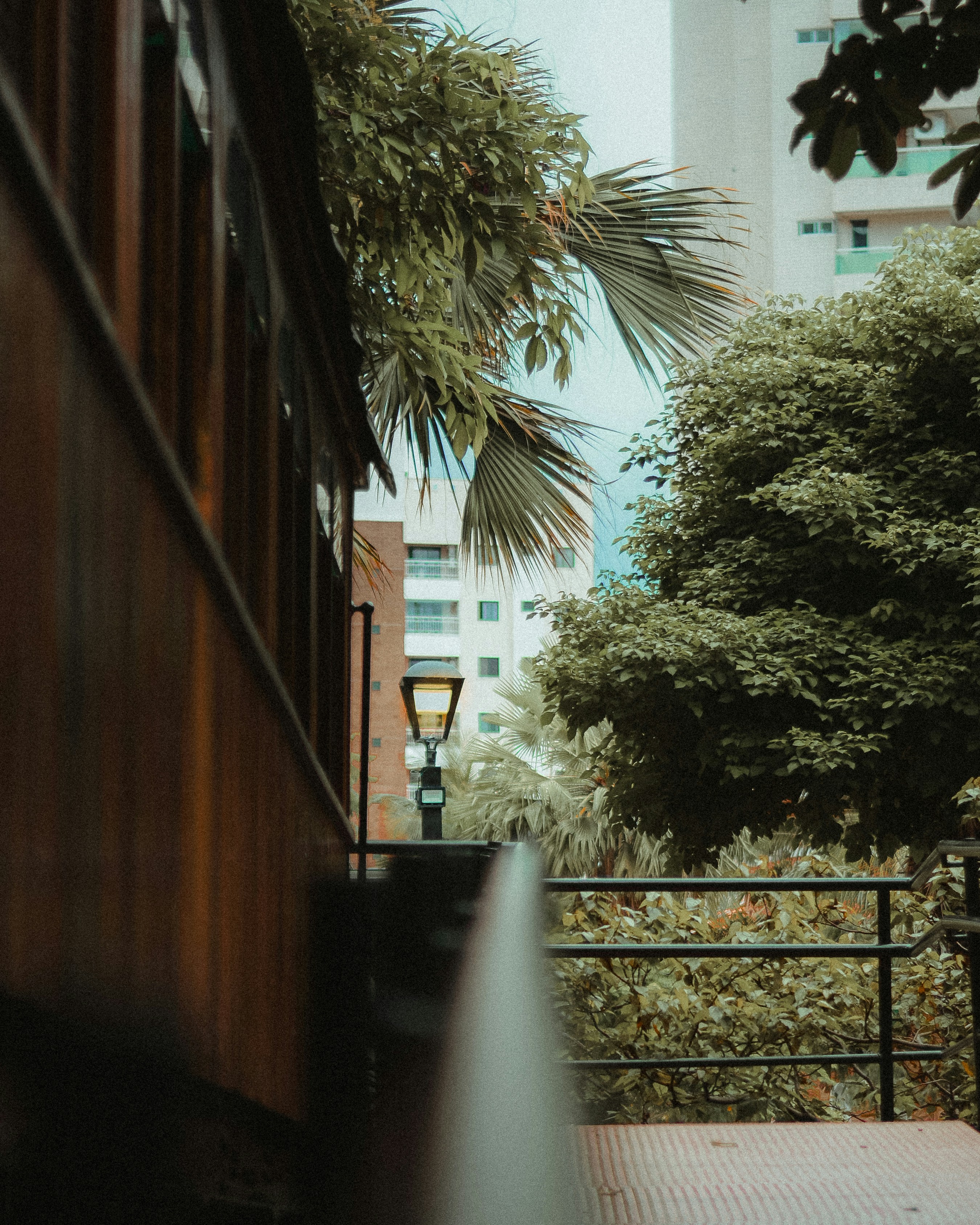 Photo by raffaalvess