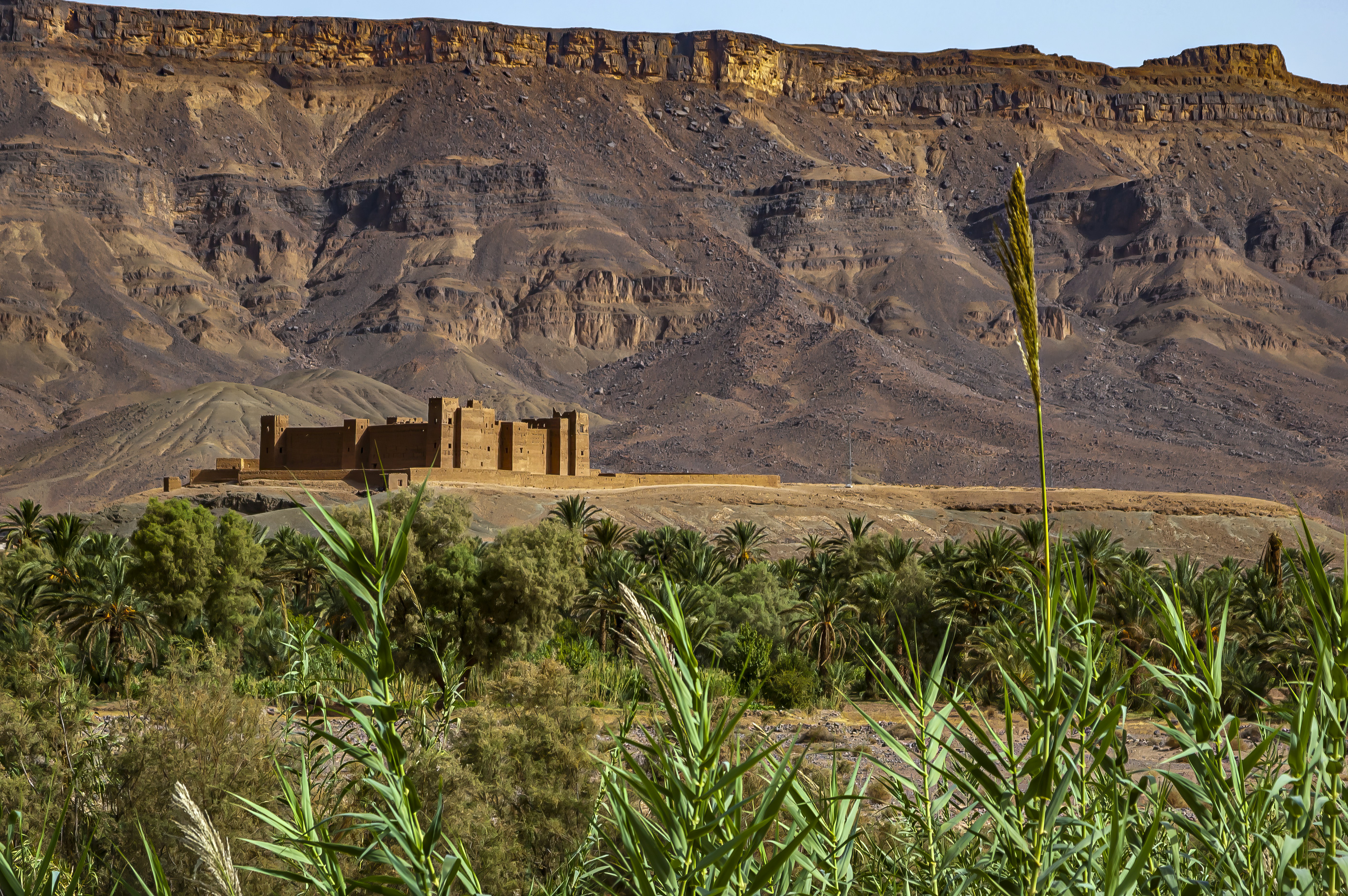 A desert landscape with mountains in the background