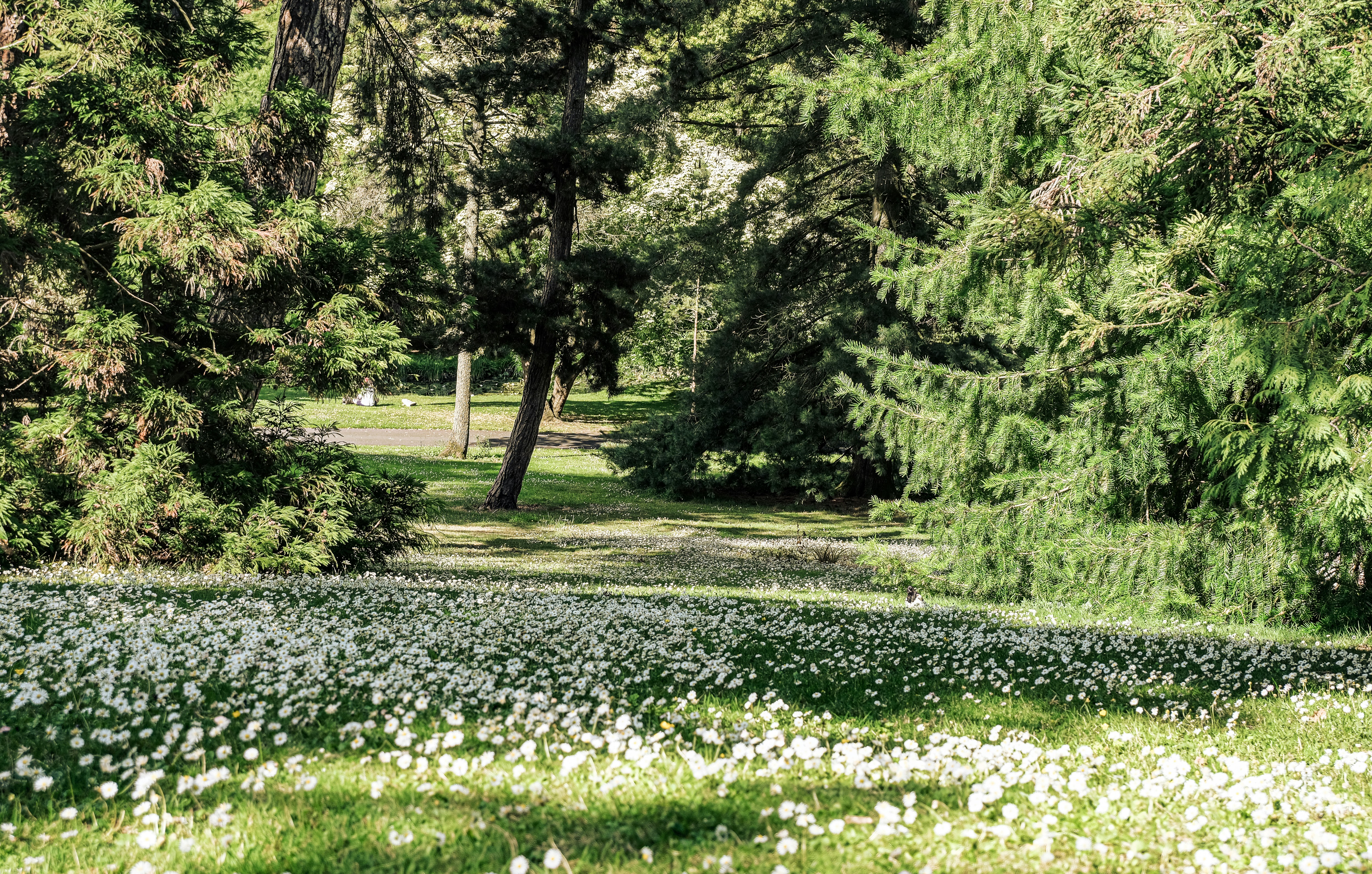 Planten un Blomen Park photo 3