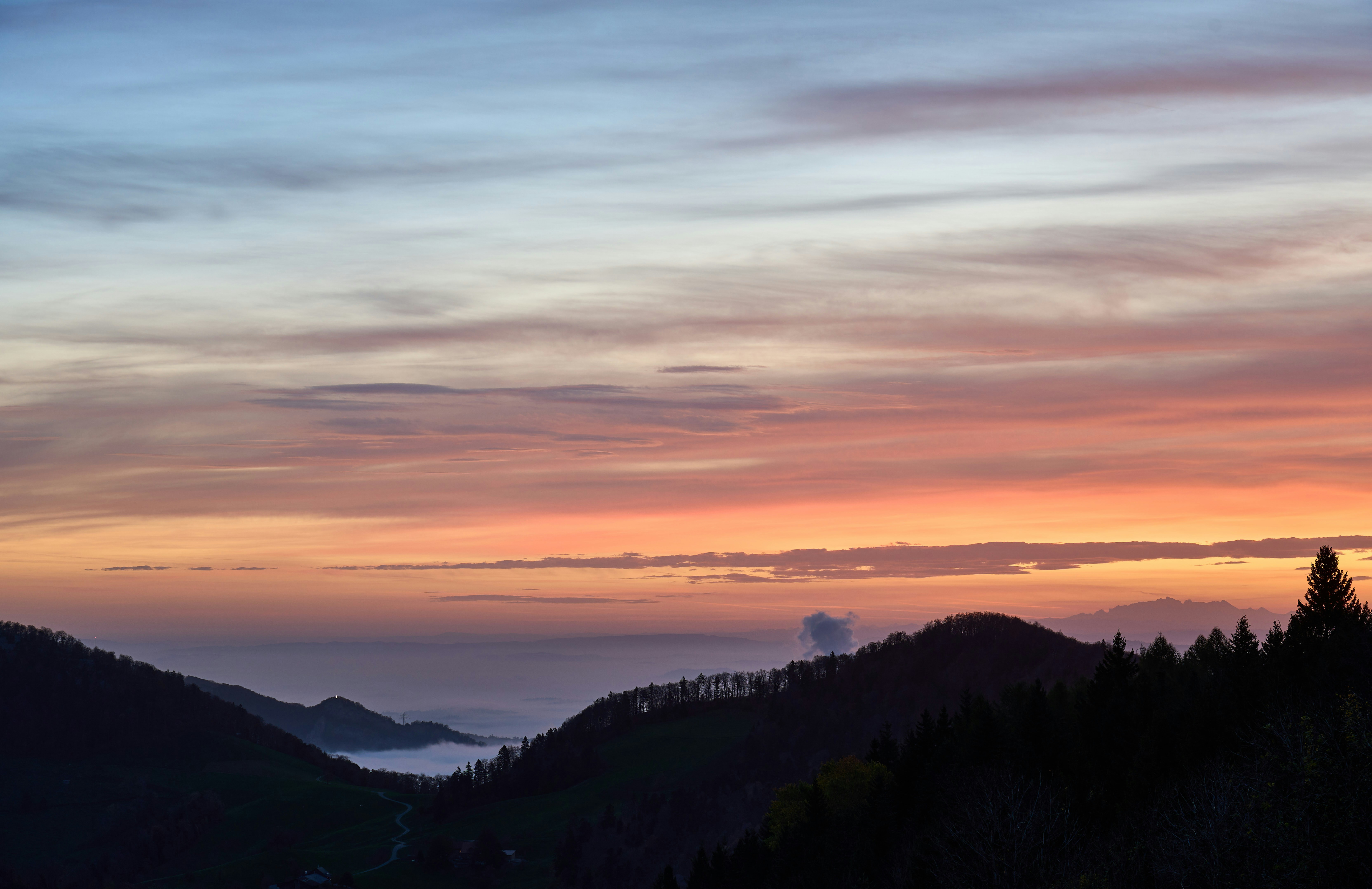 Photo by wolfgang_hasselmann