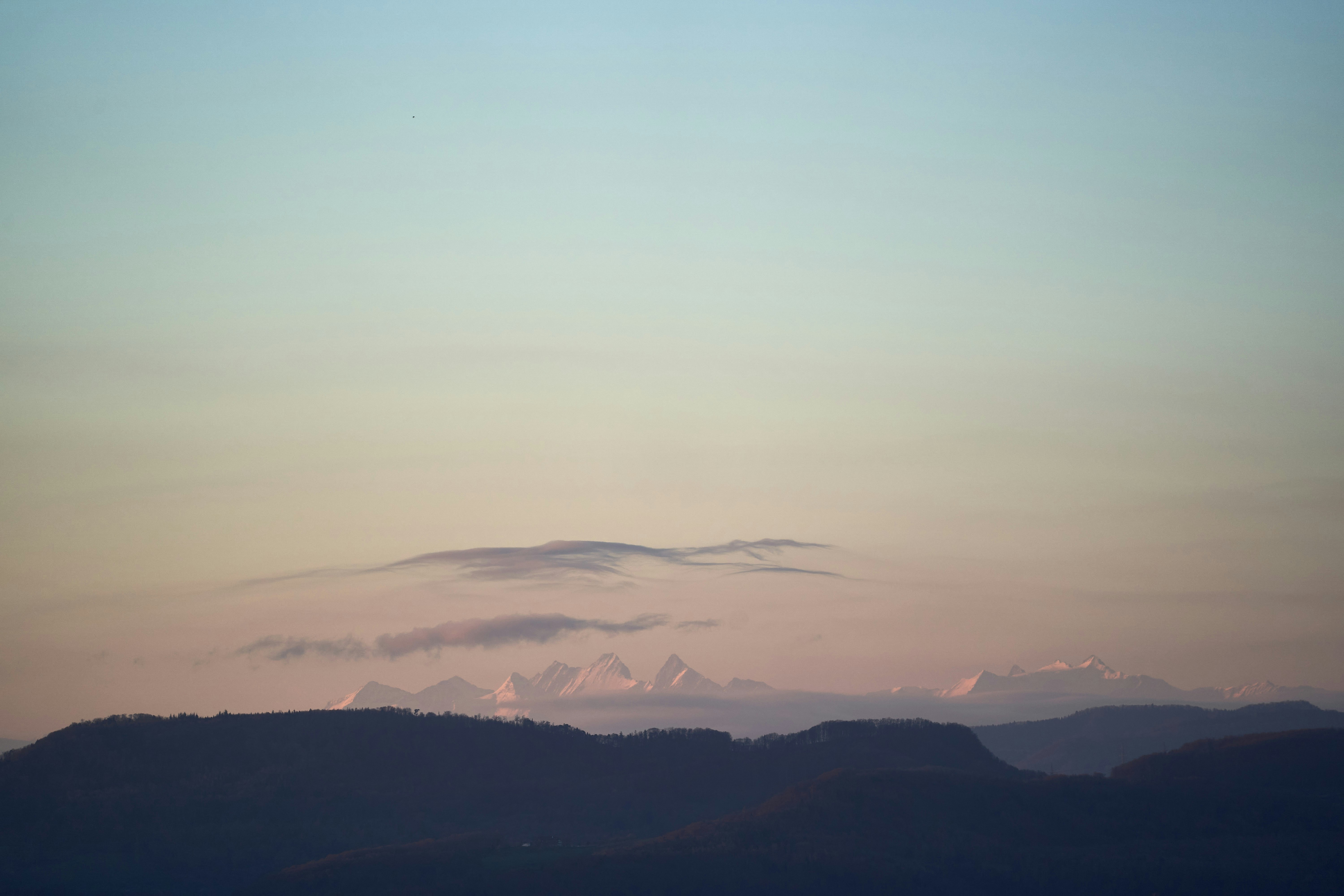 Photo by wolfgang_hasselmann