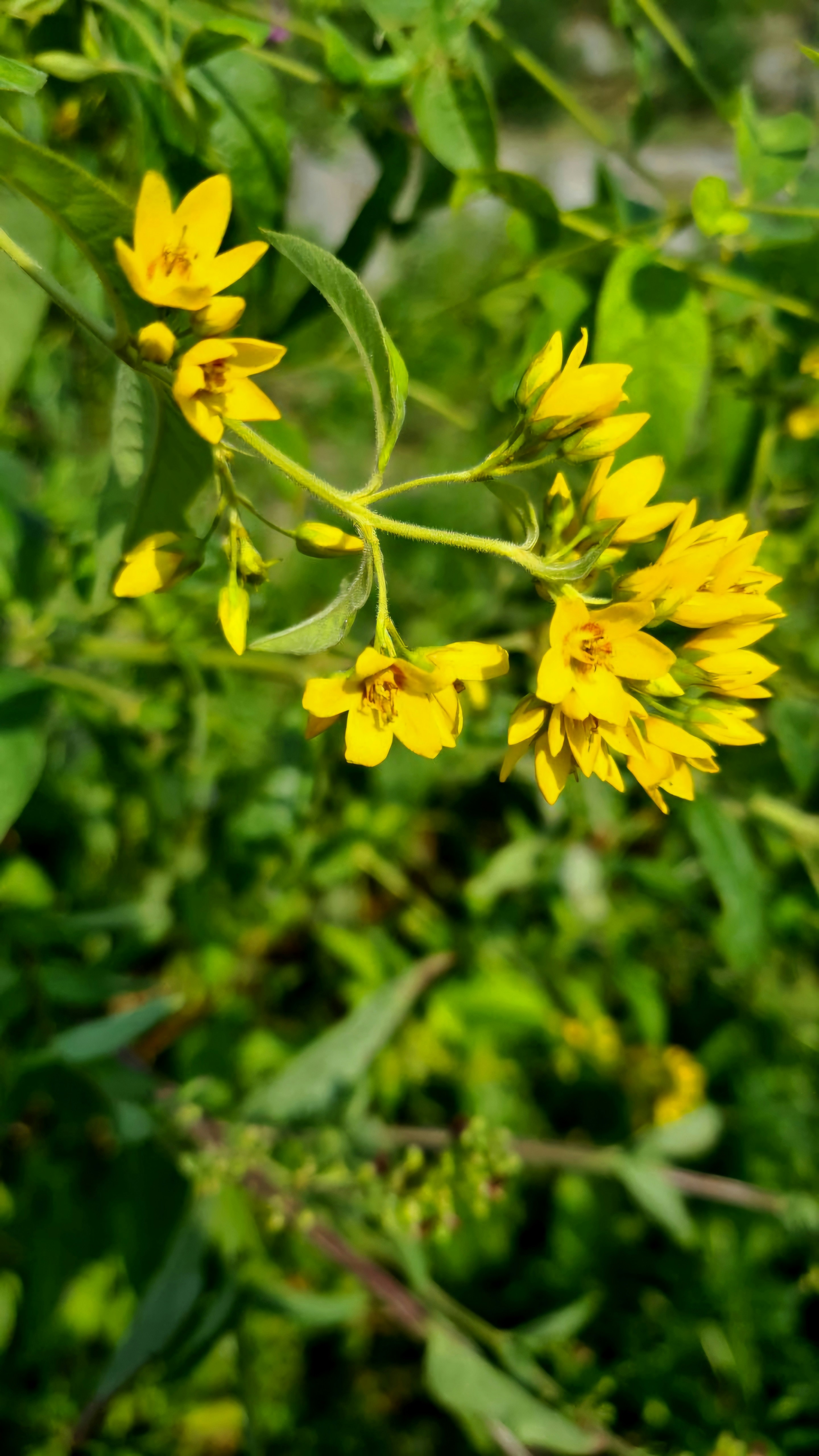 Photo by dmushtaieva