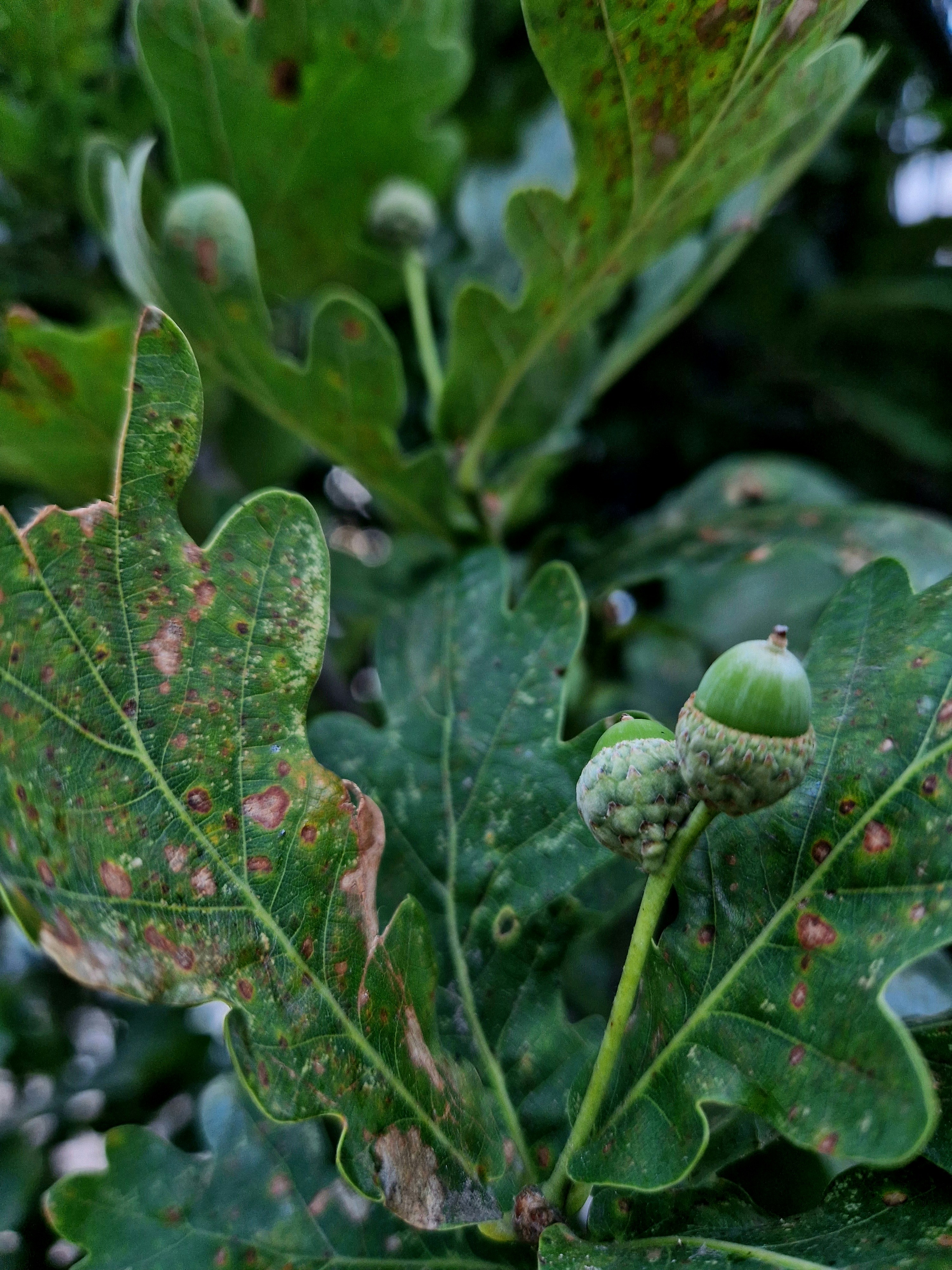 Photo by dmushtaieva