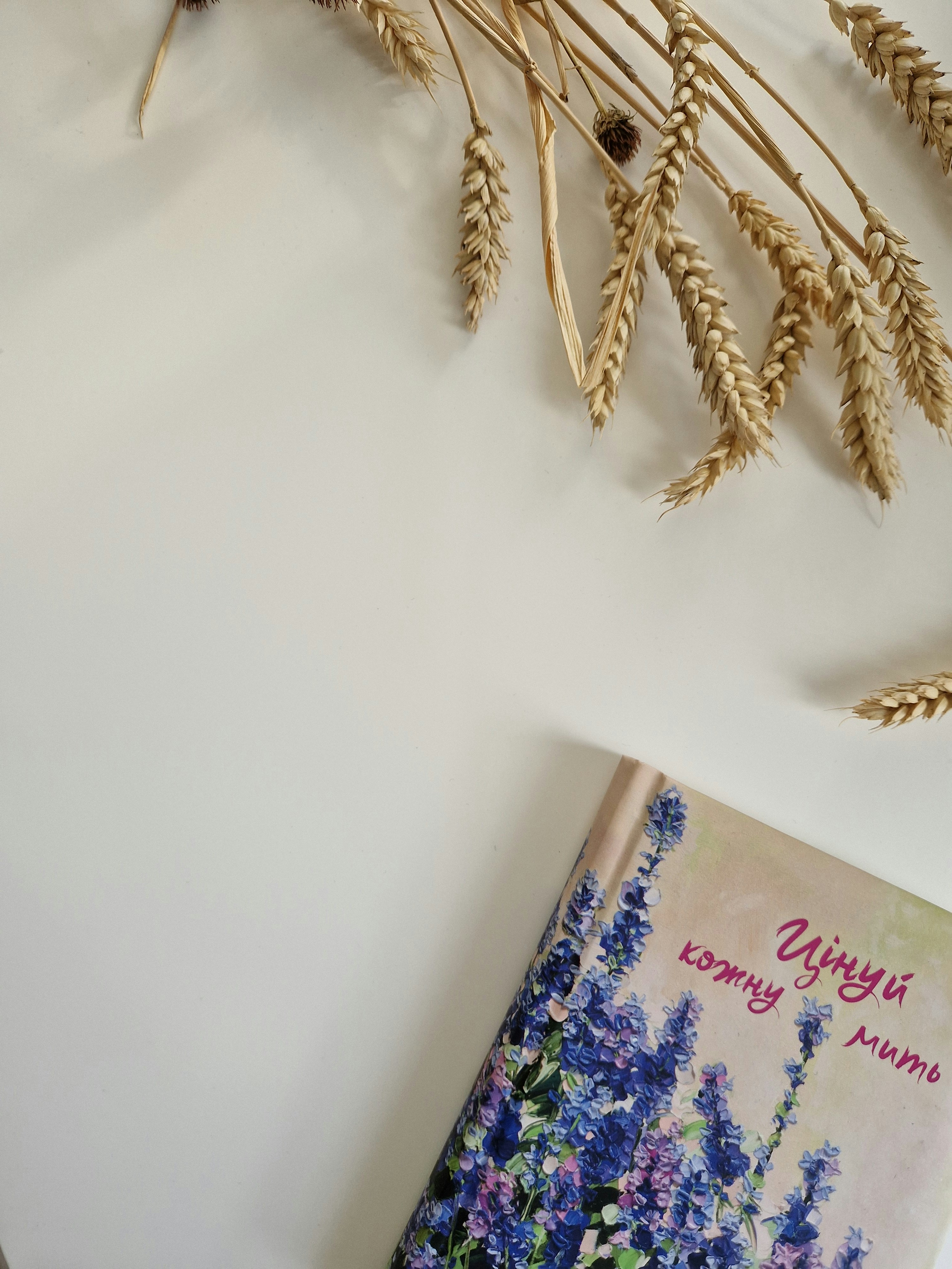 lavender aesthetic wallpaper, wallpaper, Lavender Crafts for Adults: Relaxing & Creative Ideas 2