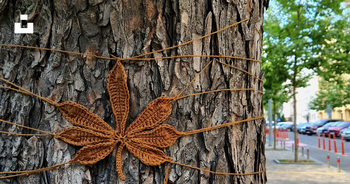 A tree with a string wrapped around it photo – Free Tree Image on Unsplash