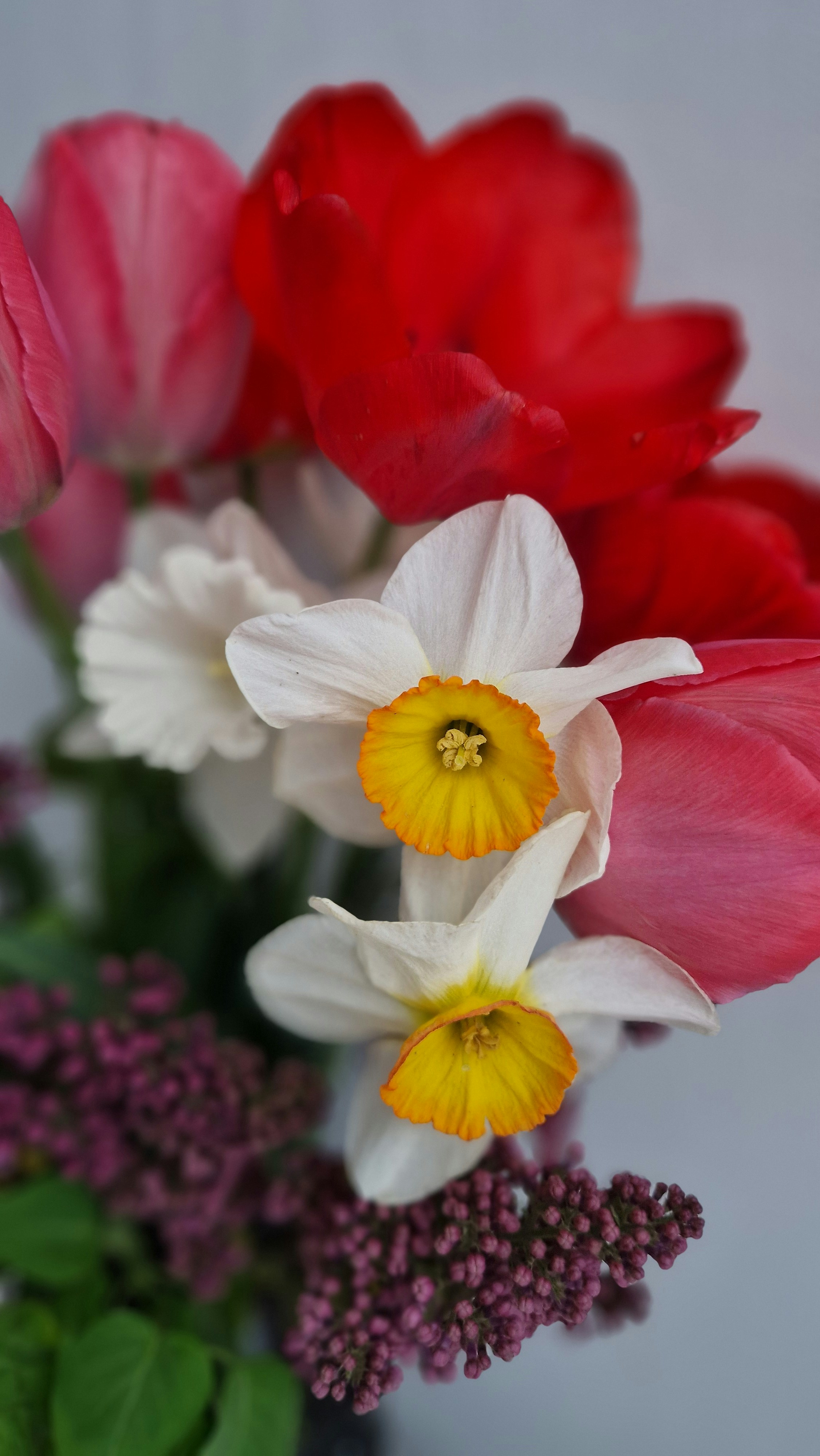 Photo by dmushtaieva