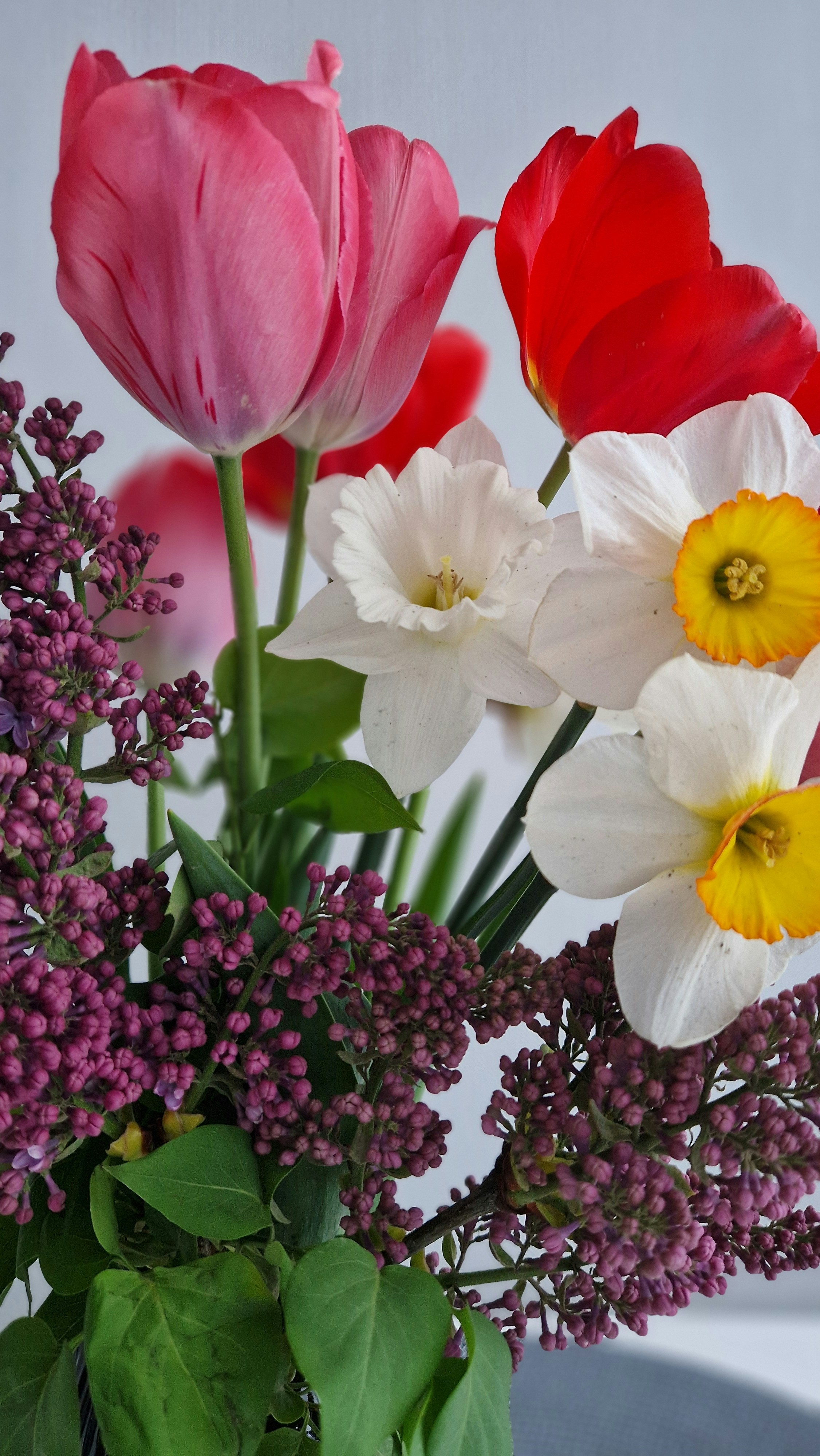 Photo by dmushtaieva