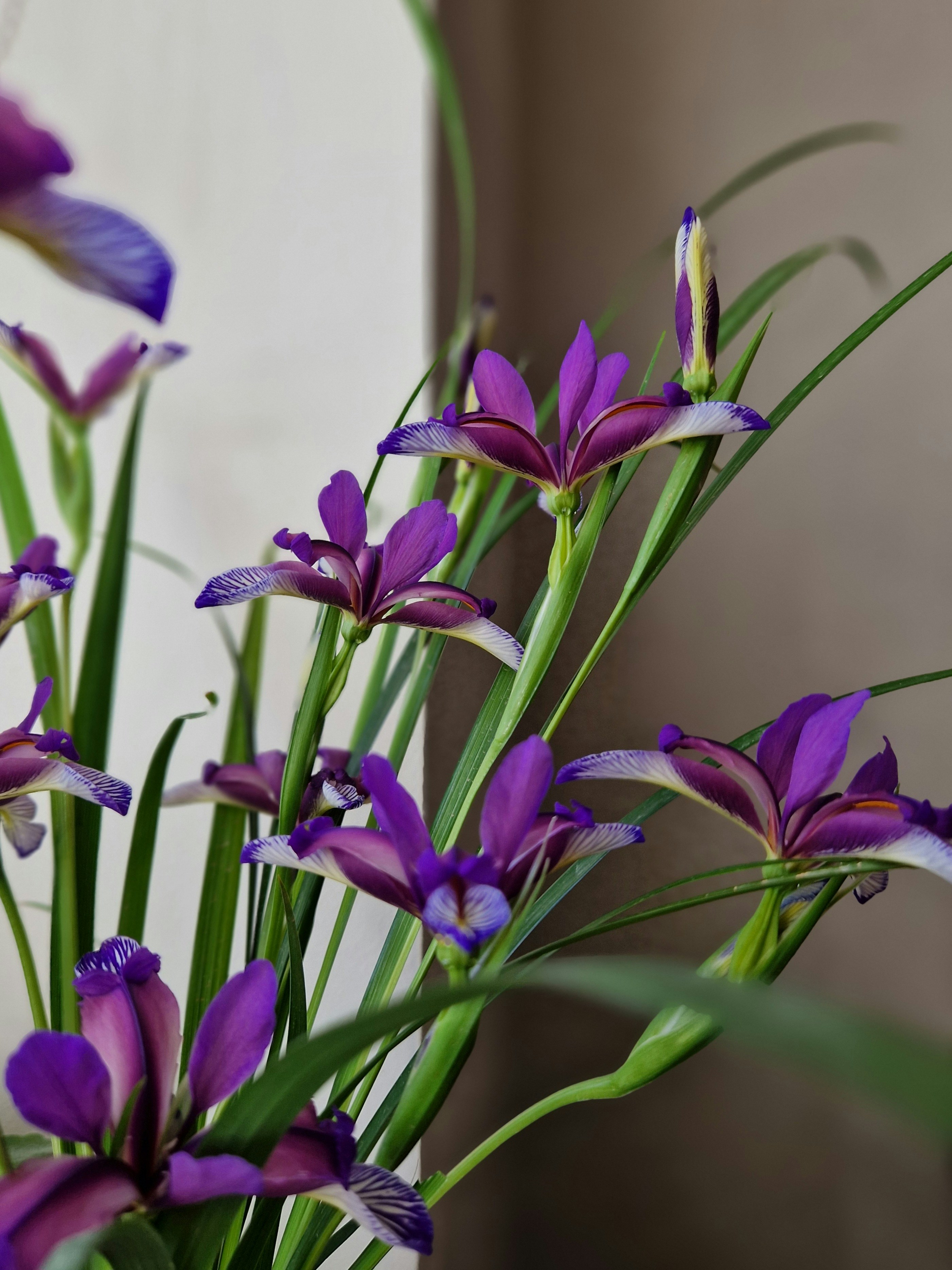 Photo by dmushtaieva