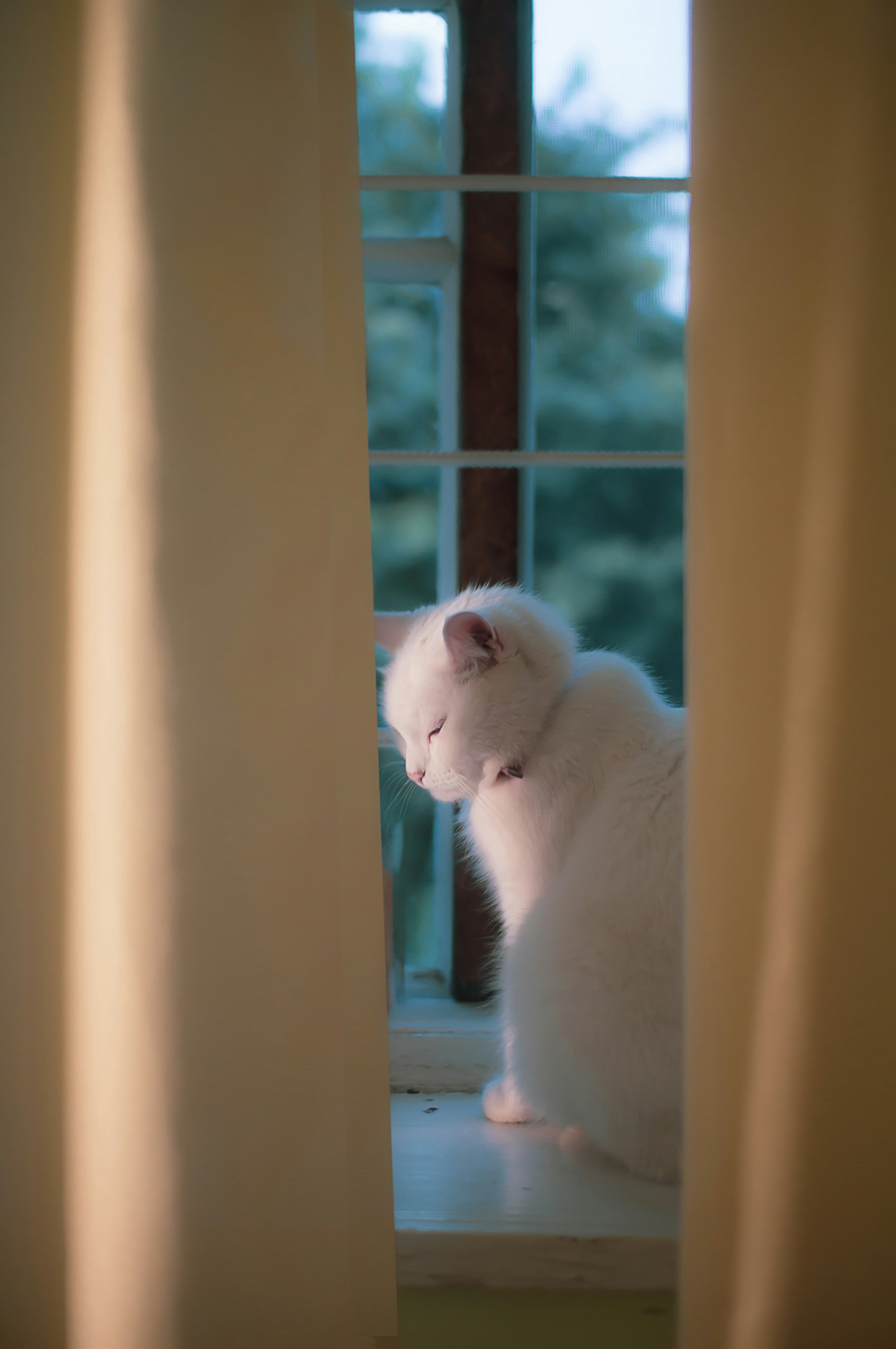 22. Drafty Spots: Chilly Chagrin (image credits: unsplash)