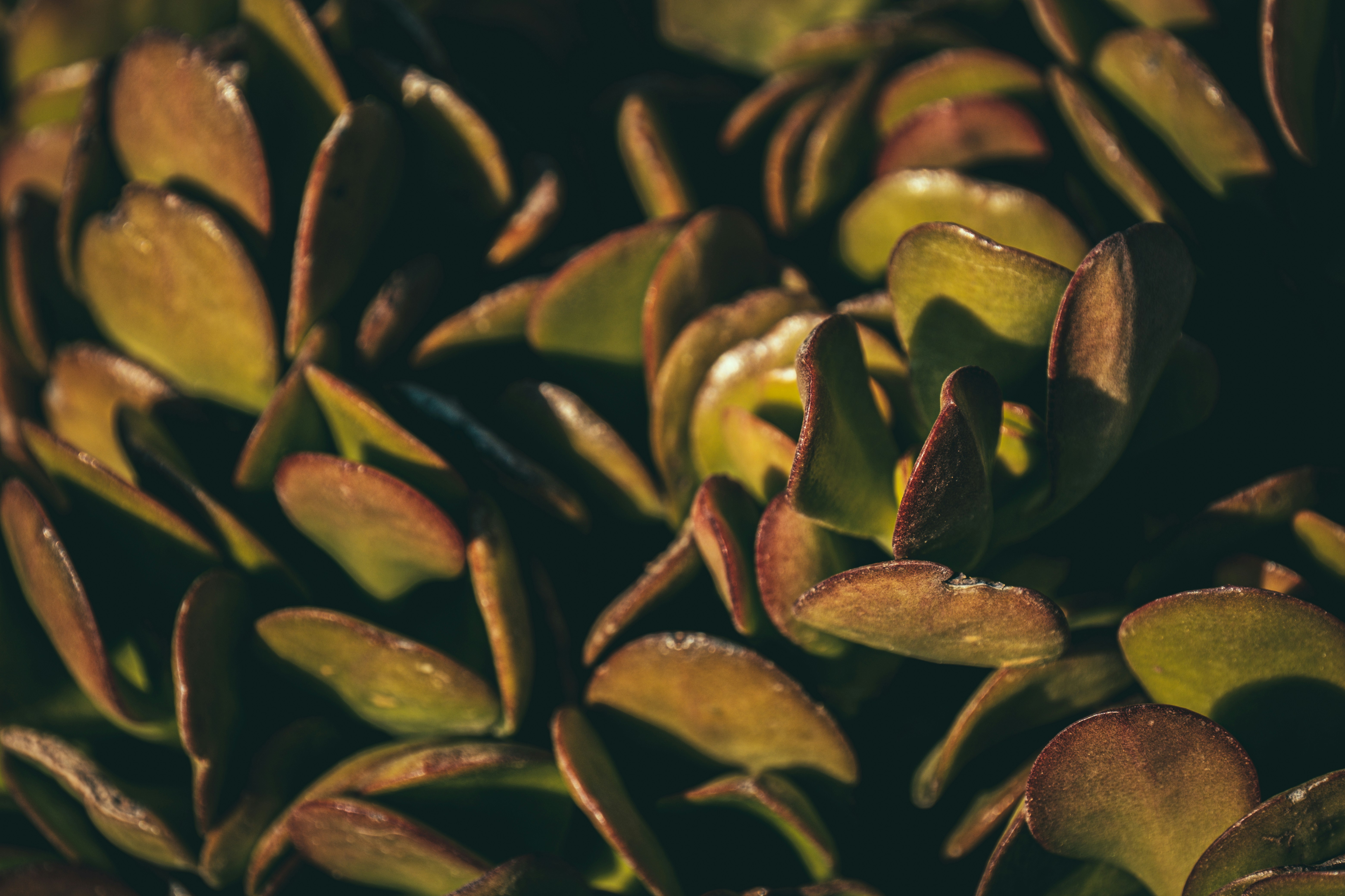 Photo by francesco_ungaro