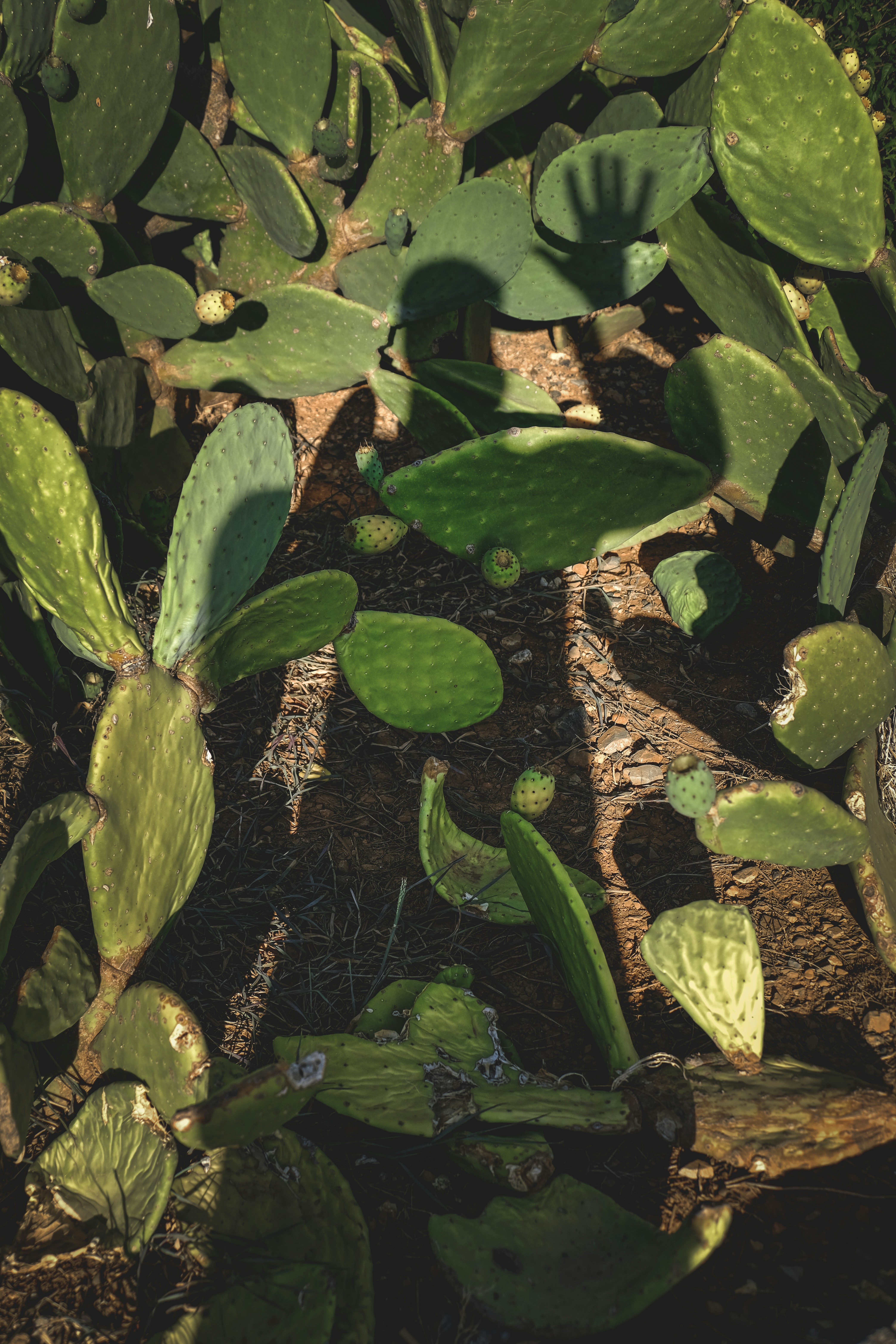 Photo by francesco_ungaro