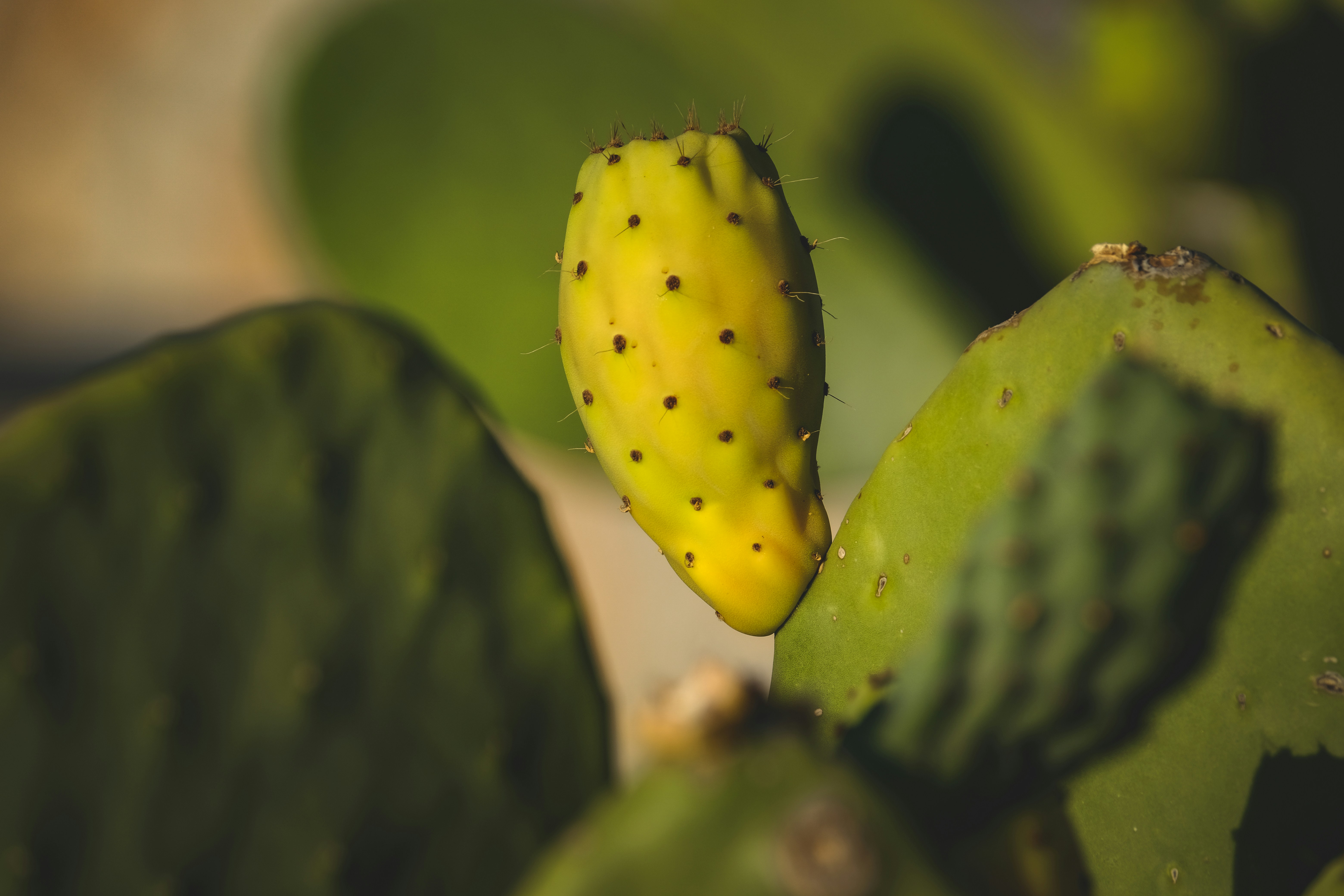 Photo by francesco_ungaro