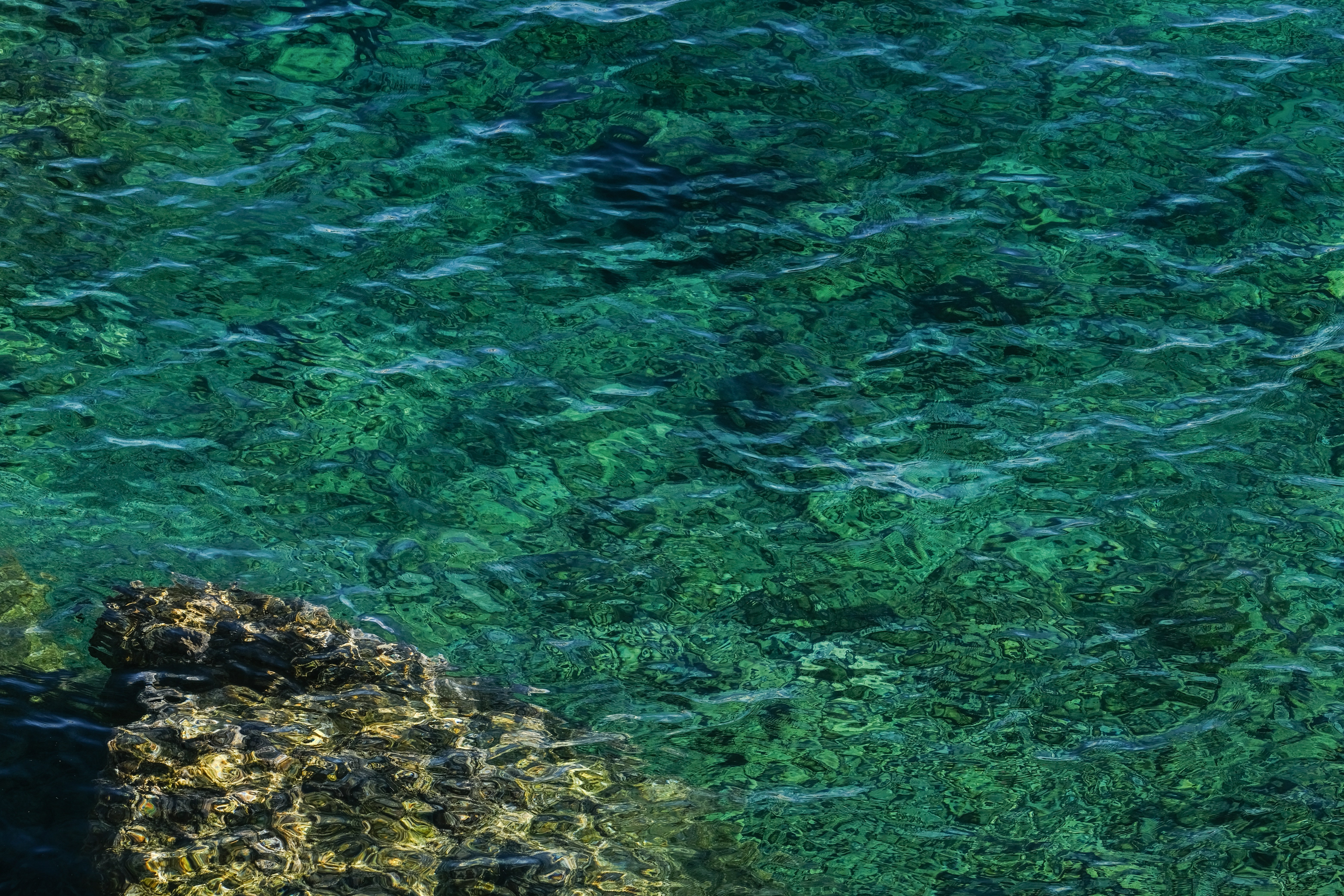 Photo by francesco_ungaro