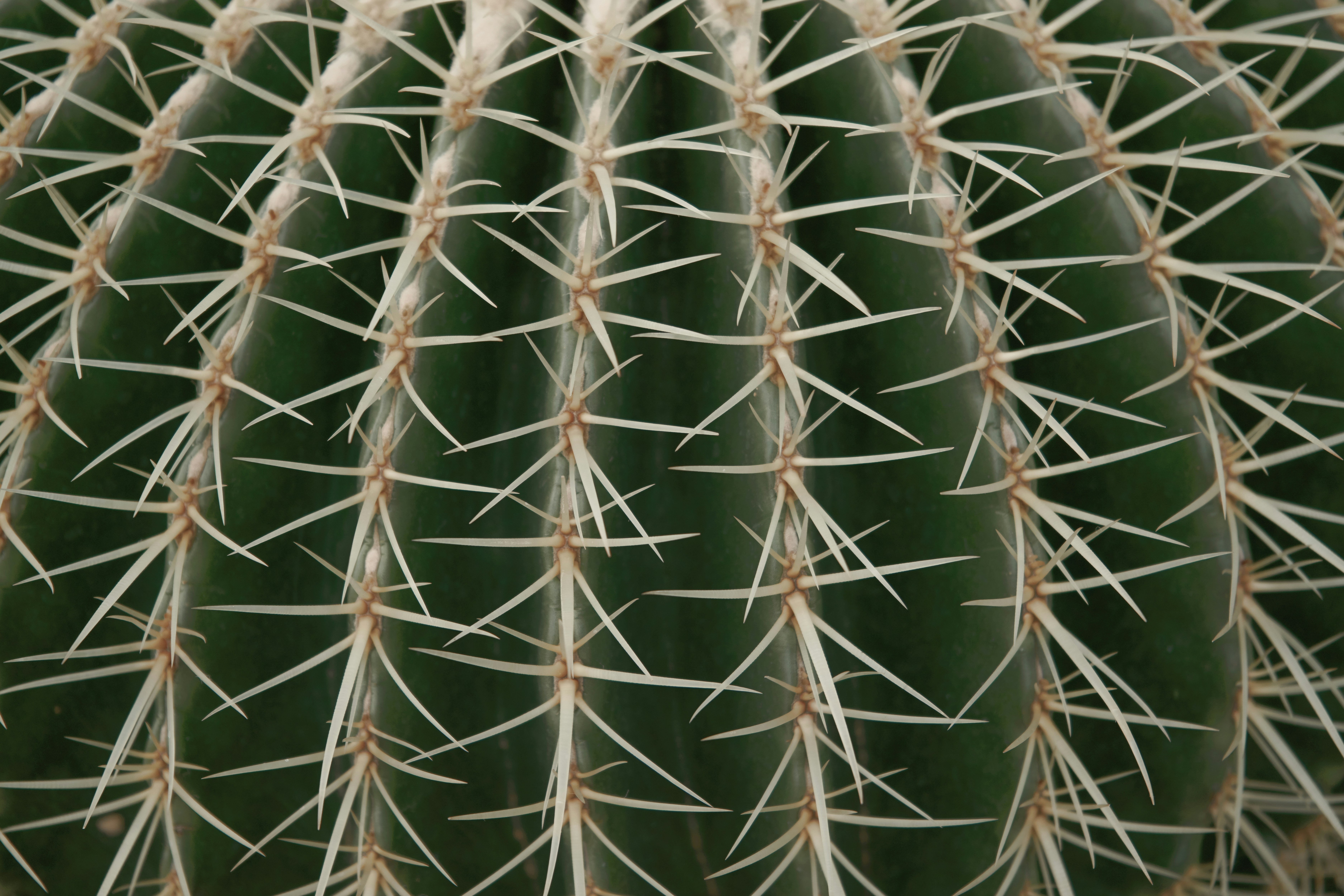 Photo by norajanelong