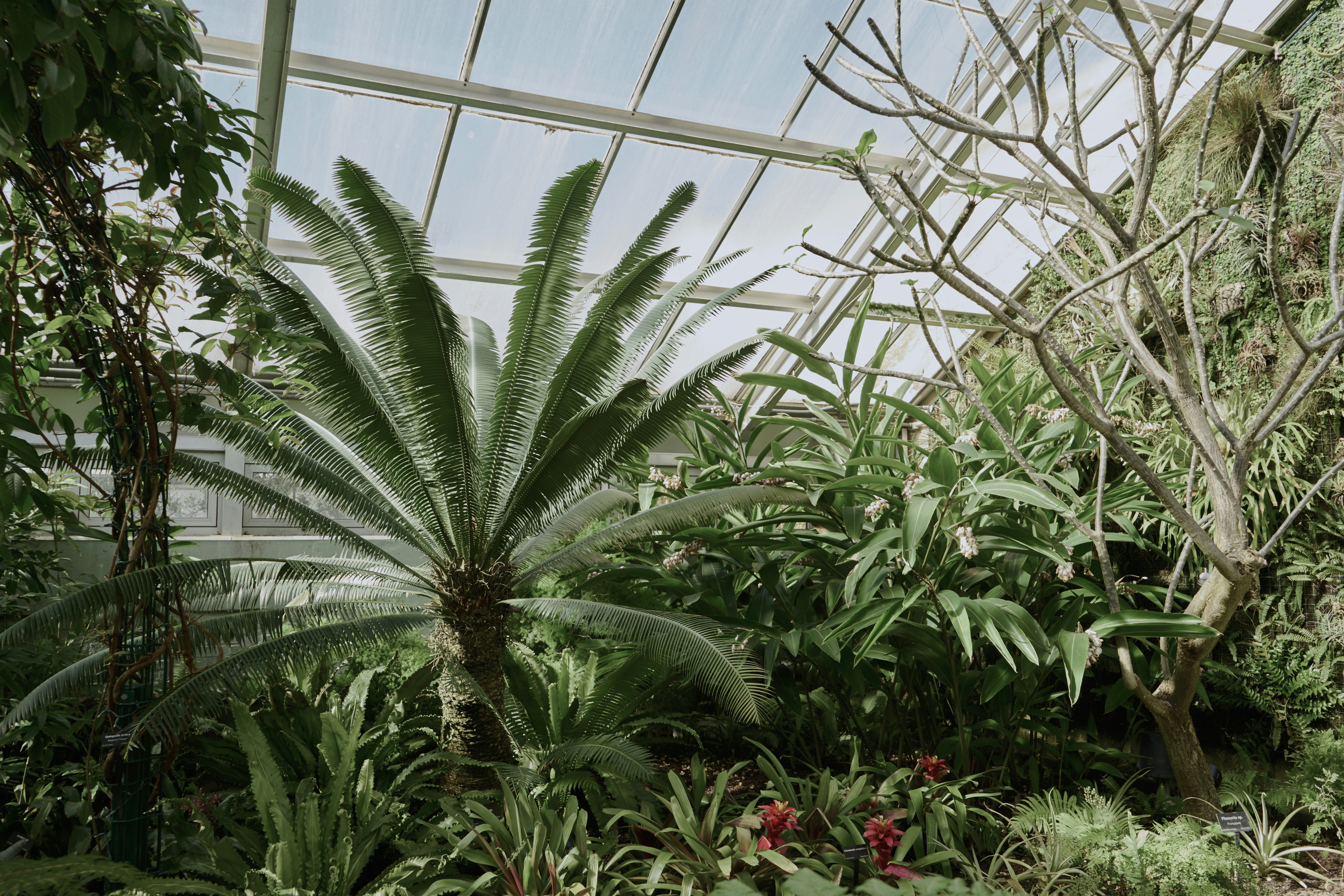 Photo by norajanelong