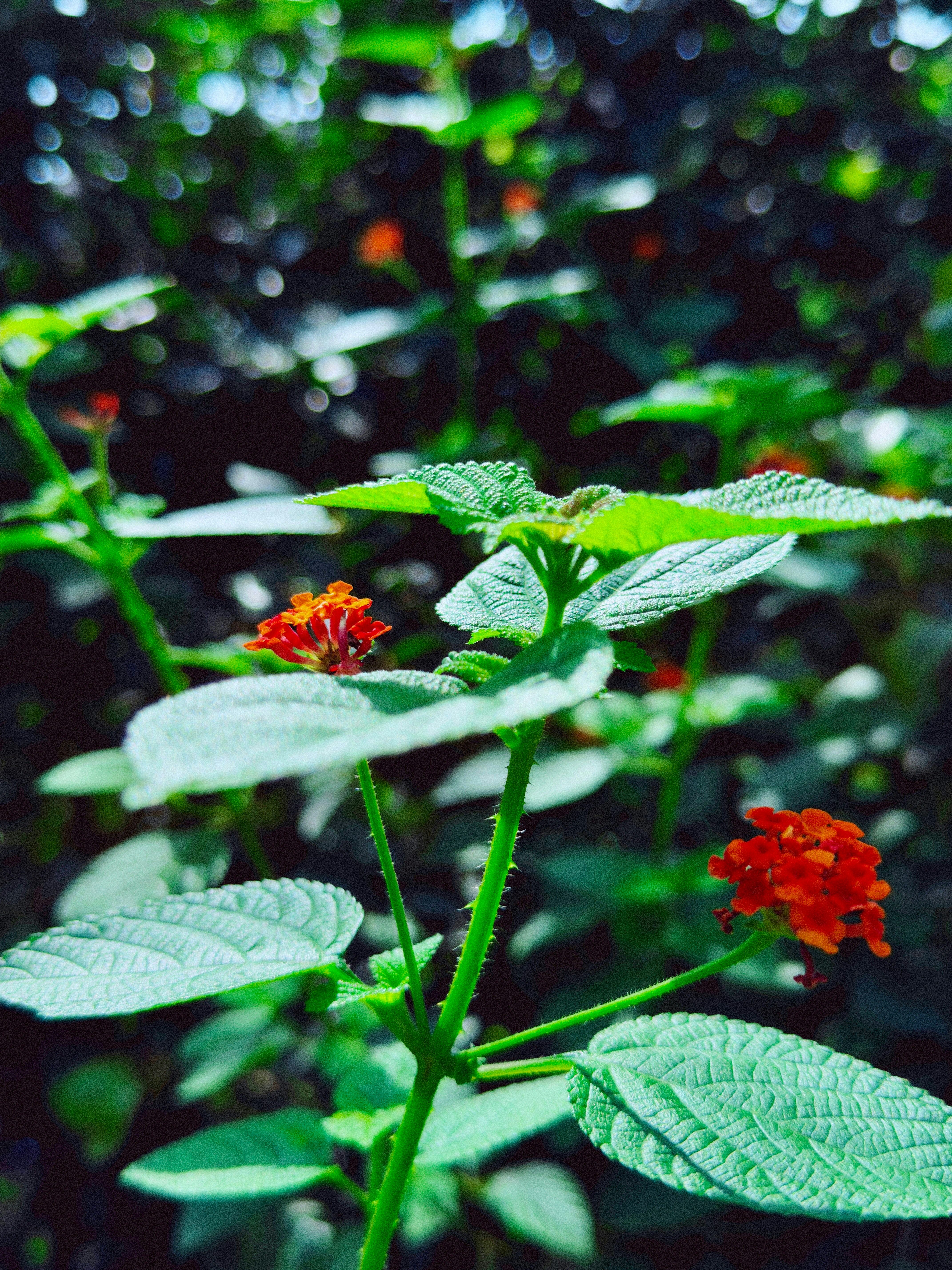 Photo by swapnil_vasave