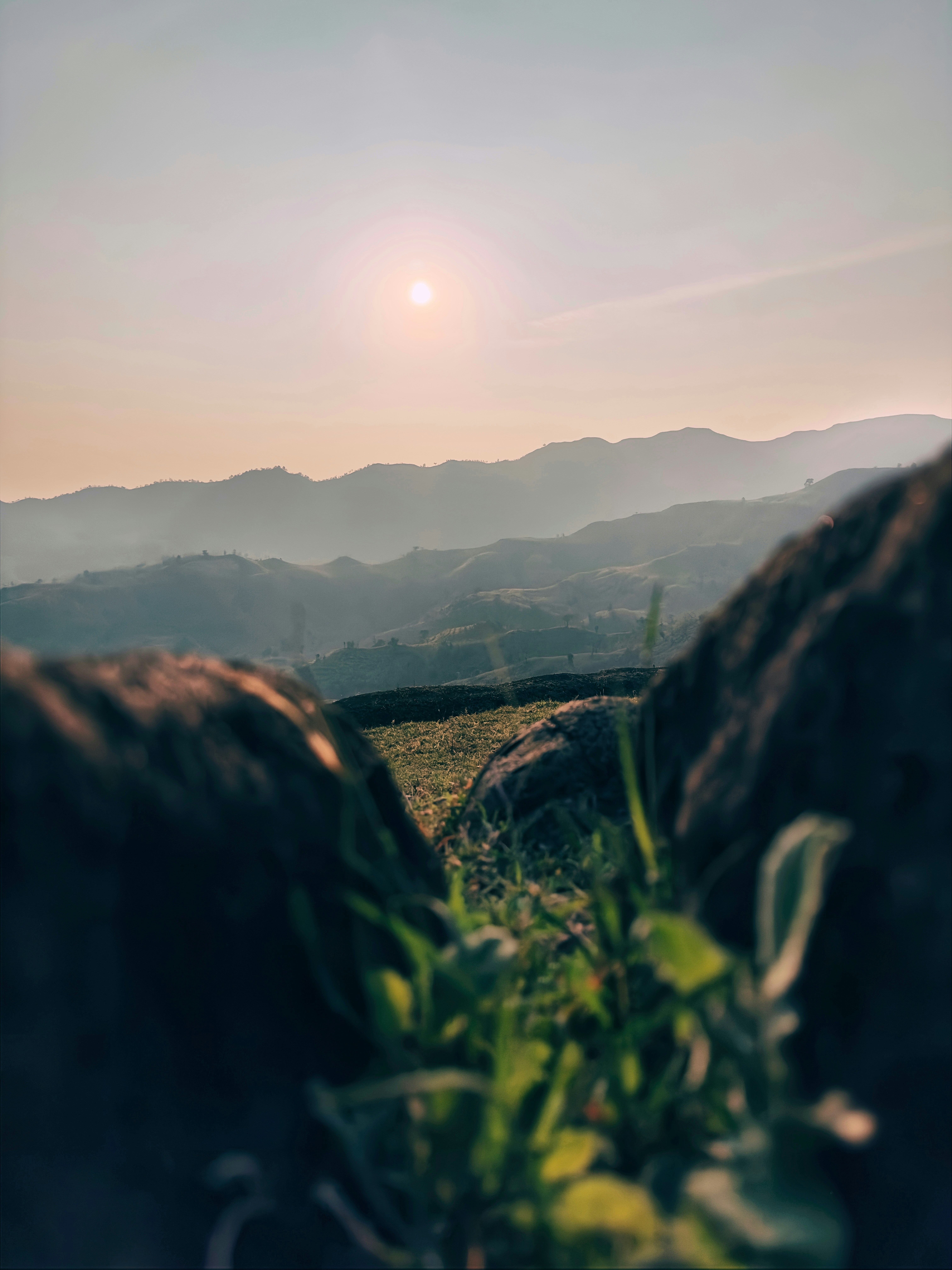 Photo by swapnil_vasave