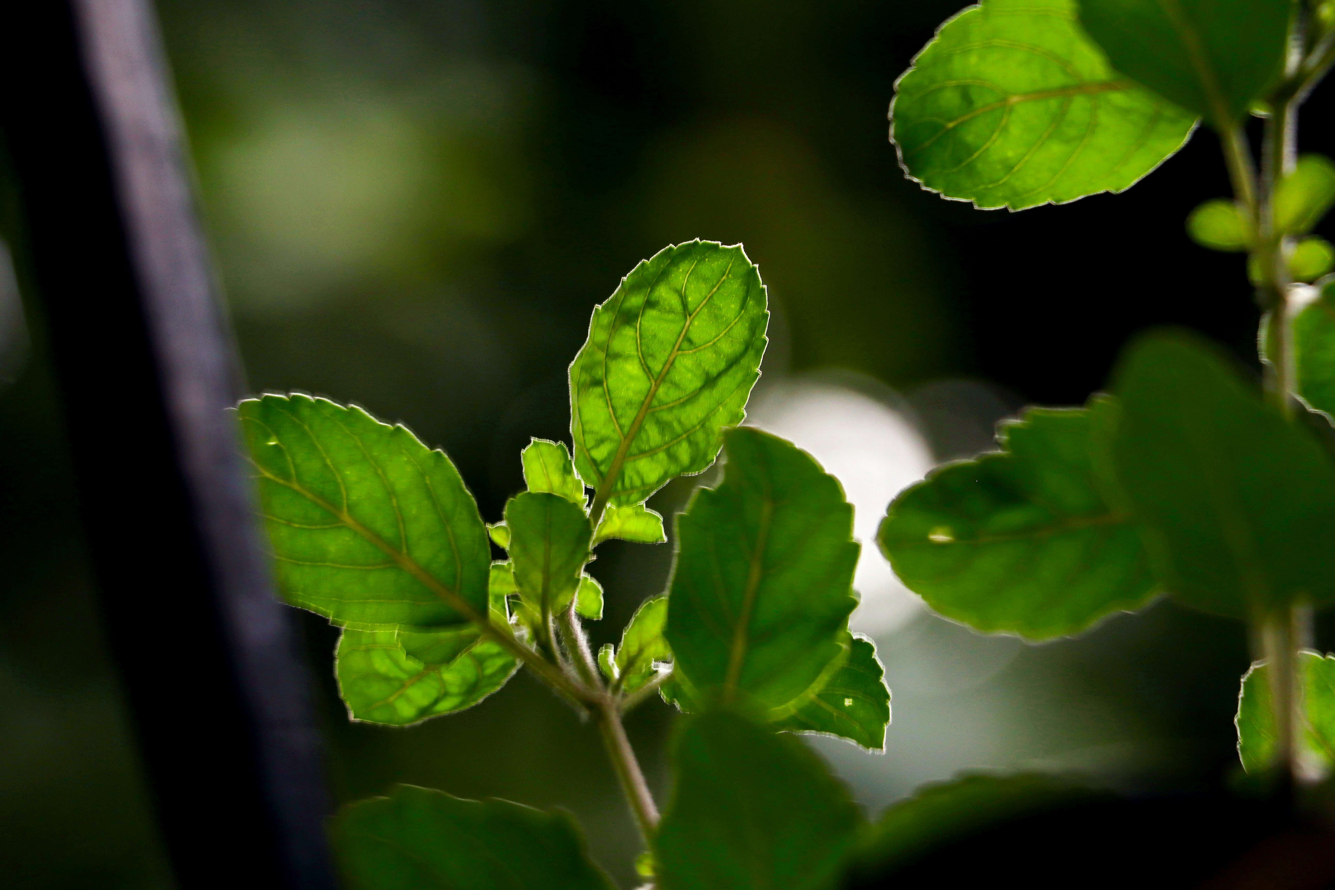 Photo by aditya_sethia_97