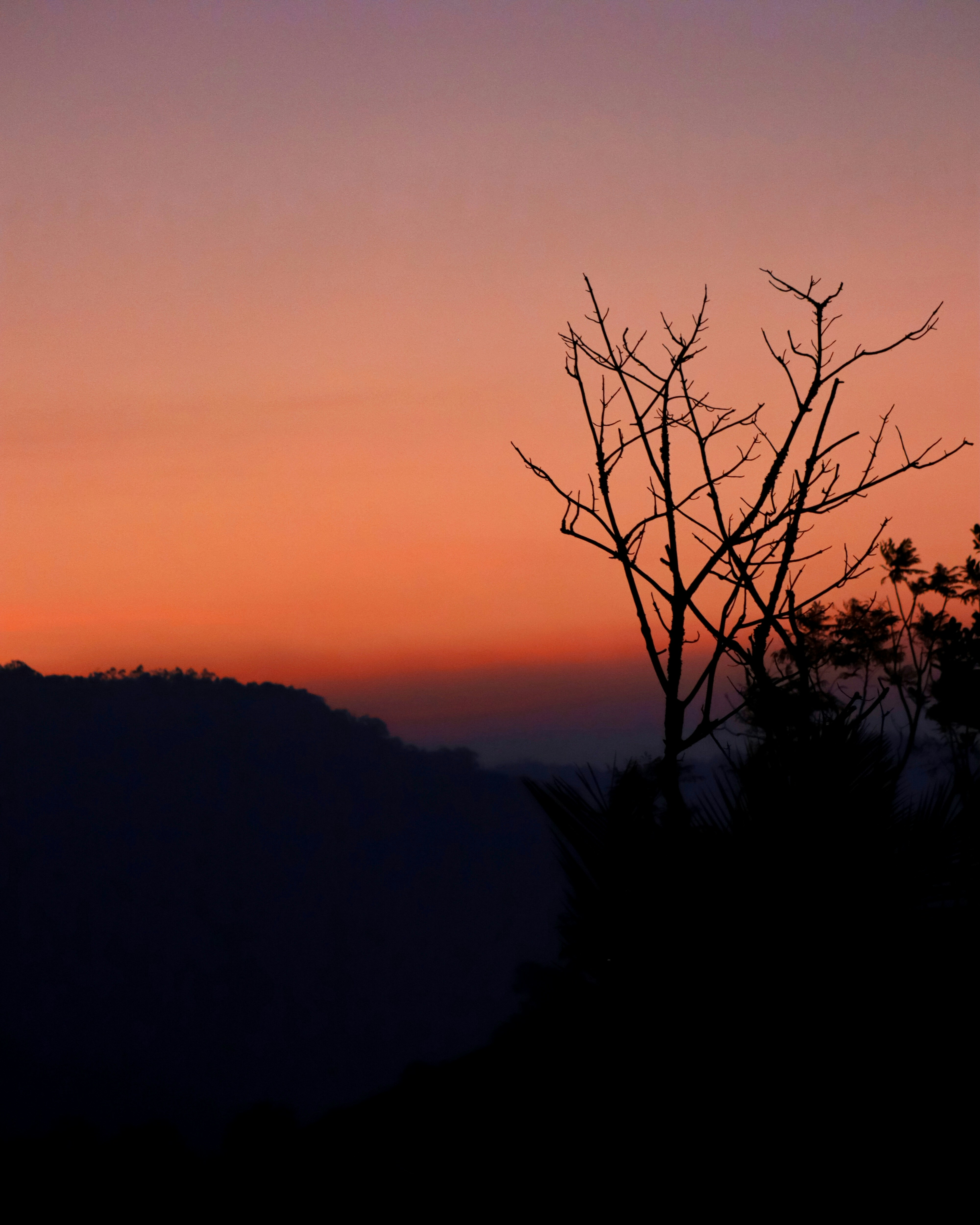 Photo by aditya_sethia_97