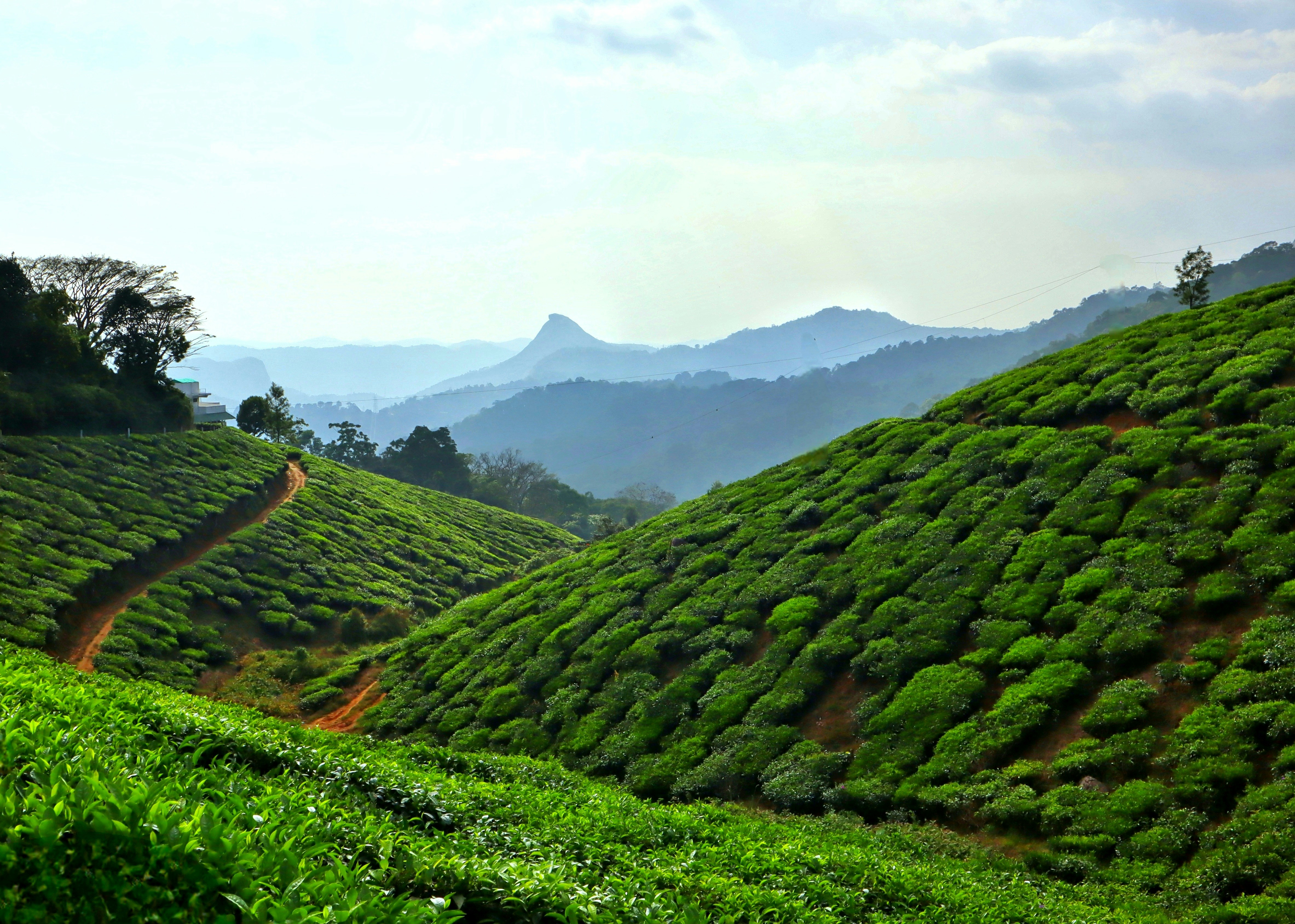 Photo by aditya_sethia_97