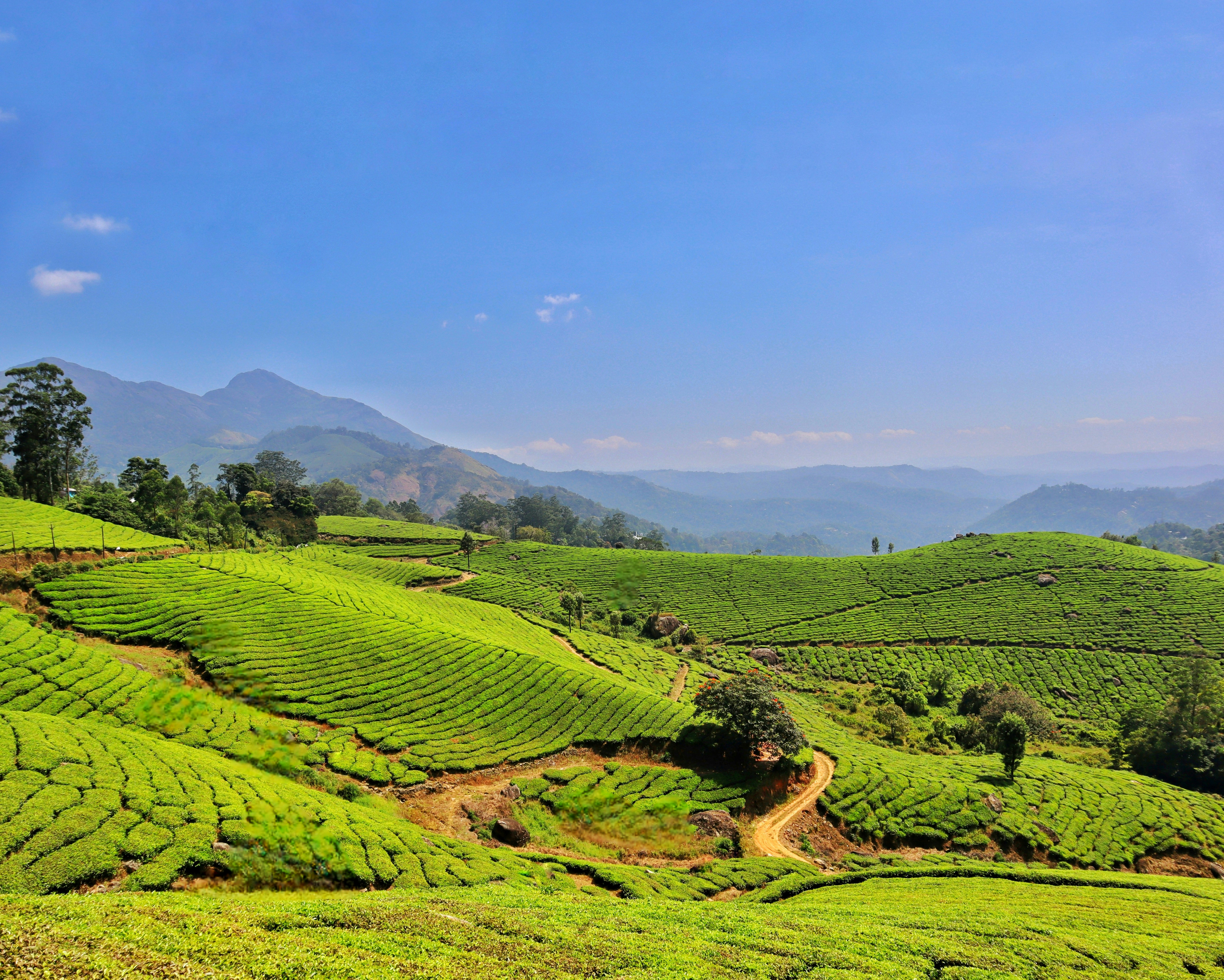 Photo by aditya_sethia_97