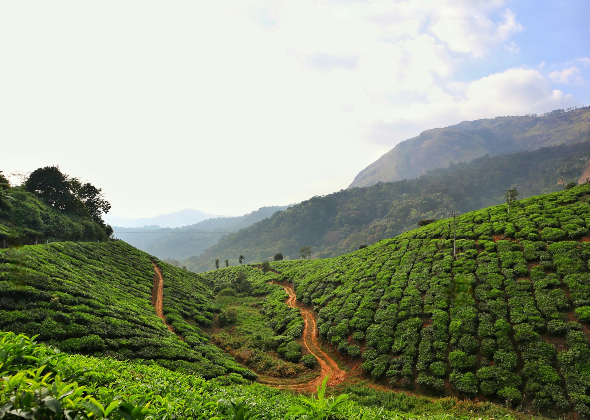 A lush green hillside with a dirt road running through it