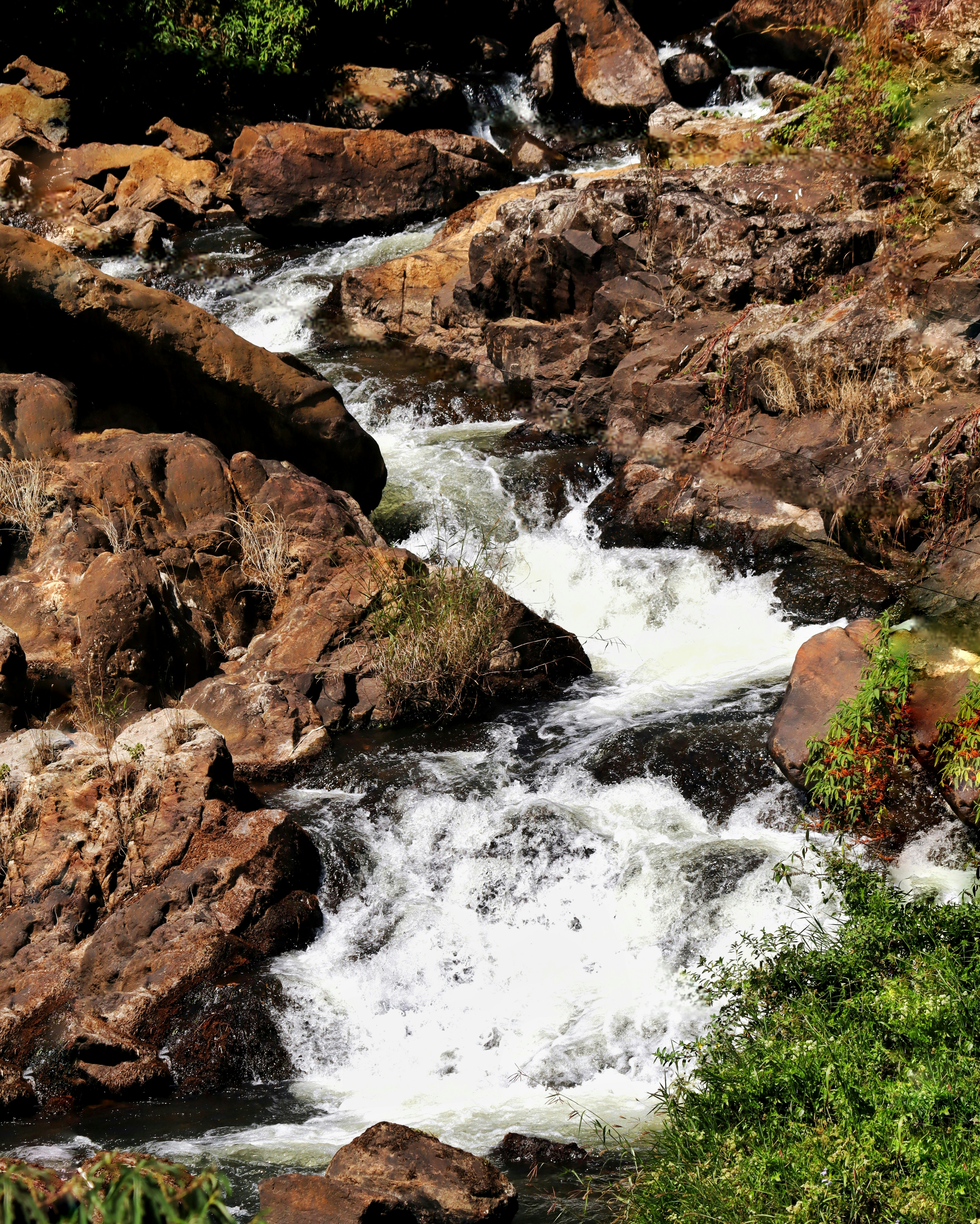 Photo by aditya_sethia_97