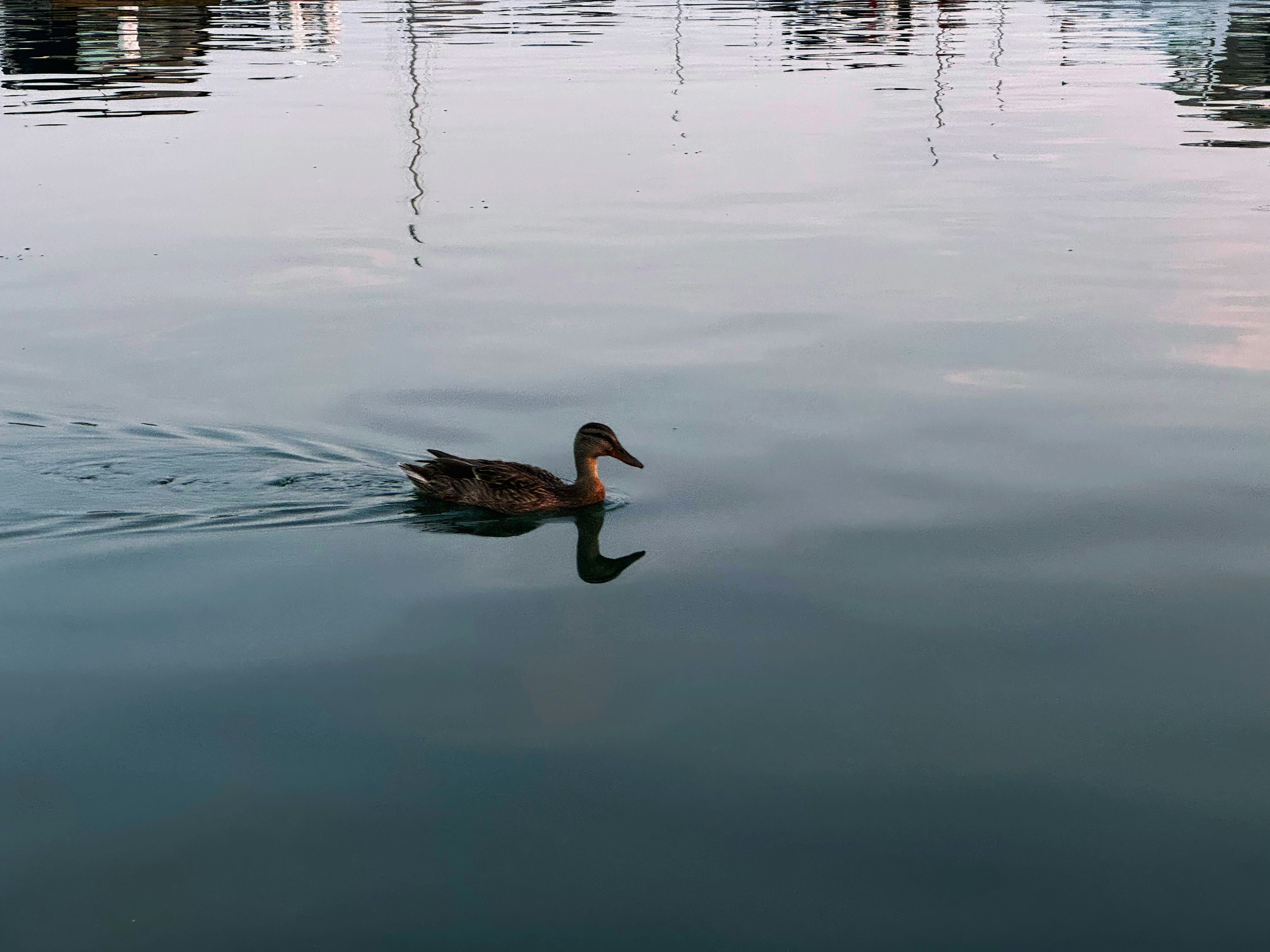 Photo by jincheng_1999